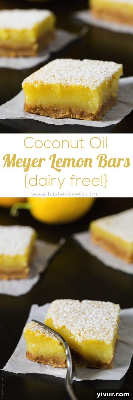 Coconut Oil Meyer Lemon Bars - a healthier and dairy free lemon bar!