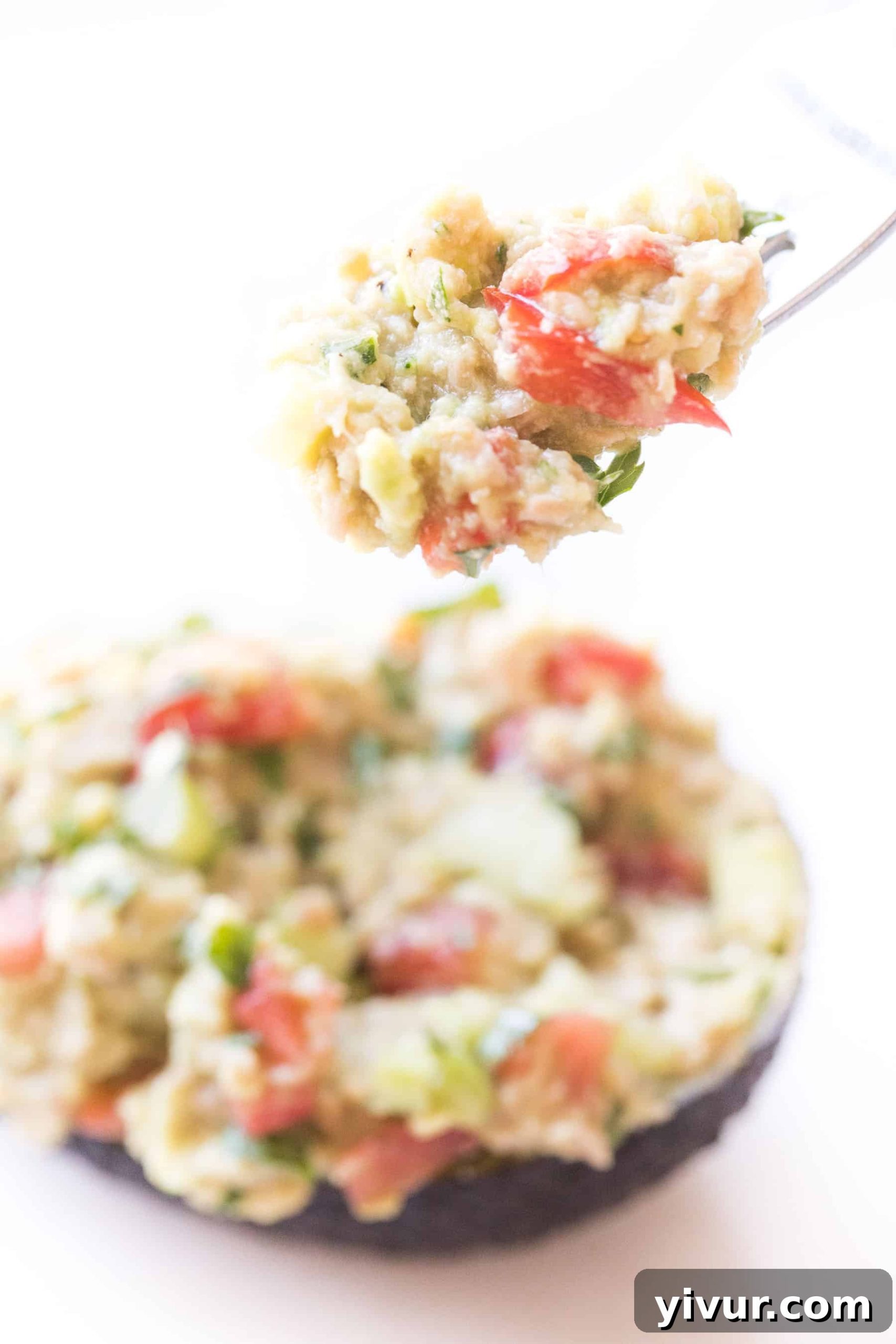 A fork lifts a delicious bite of avocado tuna salad from an avocado boat, against a pristine white backdrop