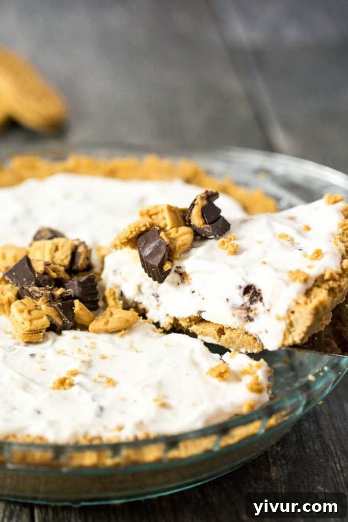 Peanut Butter Lovers Ice Cream Pie - a no bake dessert with a NUTTER BUTTER crust, vanilla and peanut butter cup ice cream filling, and a peanut butter chocolate sauce drizzled on top