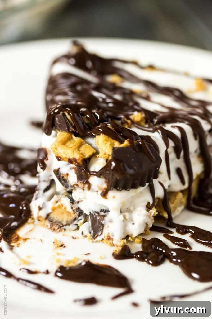 Peanut Butter Lovers Ice Cream Pie - a no bake dessert with a NUTTER BUTTER crust, vanilla and peanut butter cup ice cream filling, and a peanut butter chocolate sauce drizzled on top