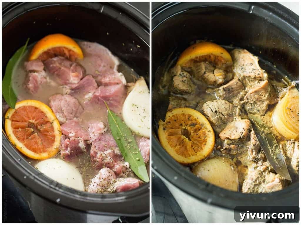 Crispy carnitas meat piled high, showcasing the delicious texture