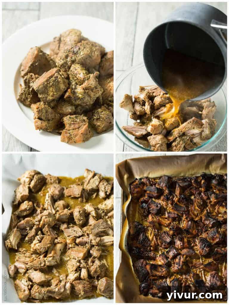 Ingredients for slow cooker carnitas, including pork, onion, orange, and spices