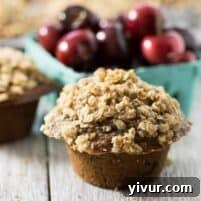 Delicious Healthy Cherry Oatmeal Muffins with streusel