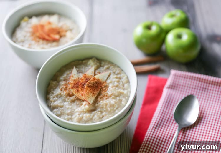 A spoonful of Cinnamon Apple Steel Cut Oatmeal, showcasing texture and ingredients