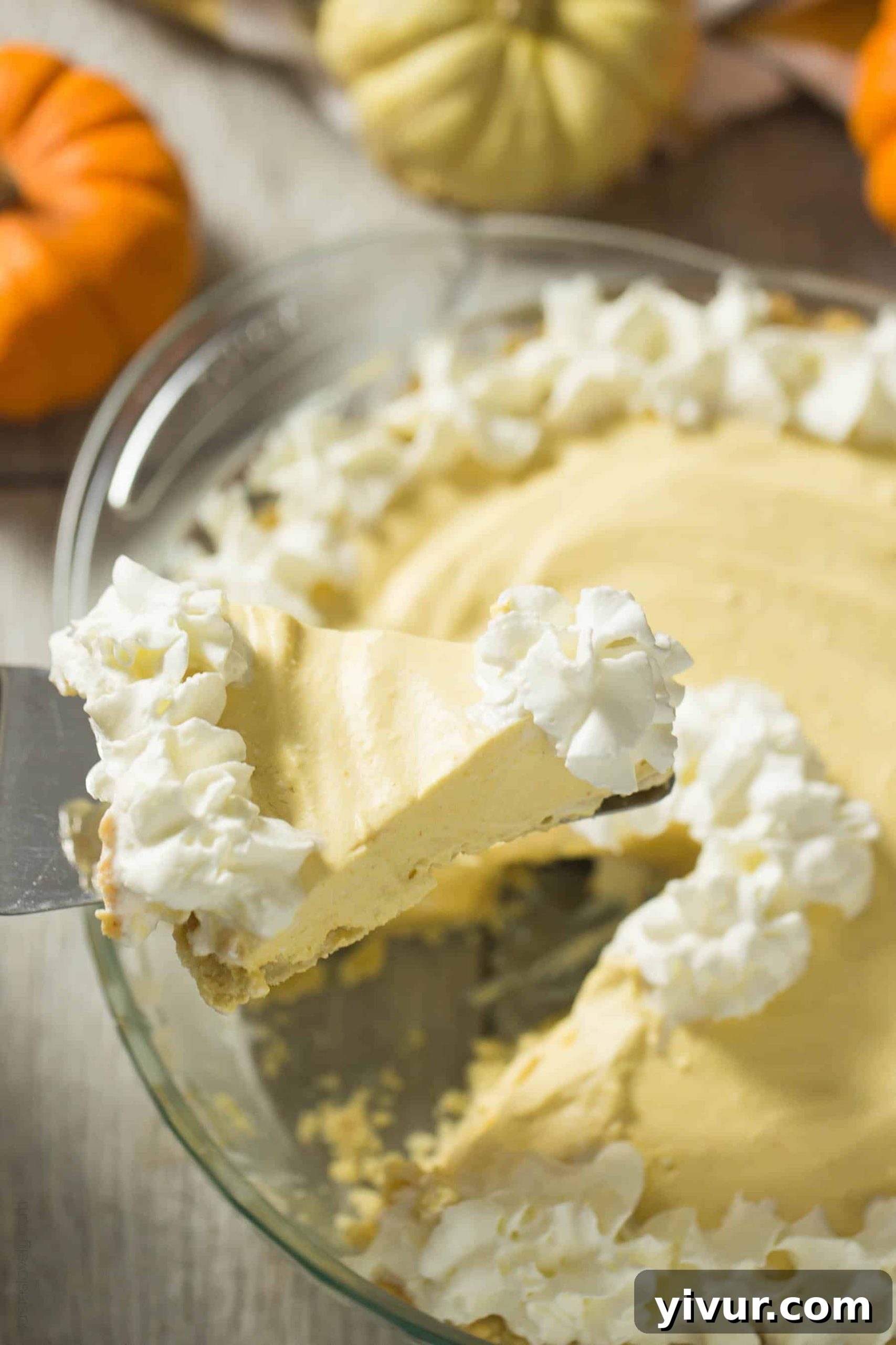 Paleo Pumpkin Cream Pie (gluten free, dairy free, refined sugar free and healthy dessert)