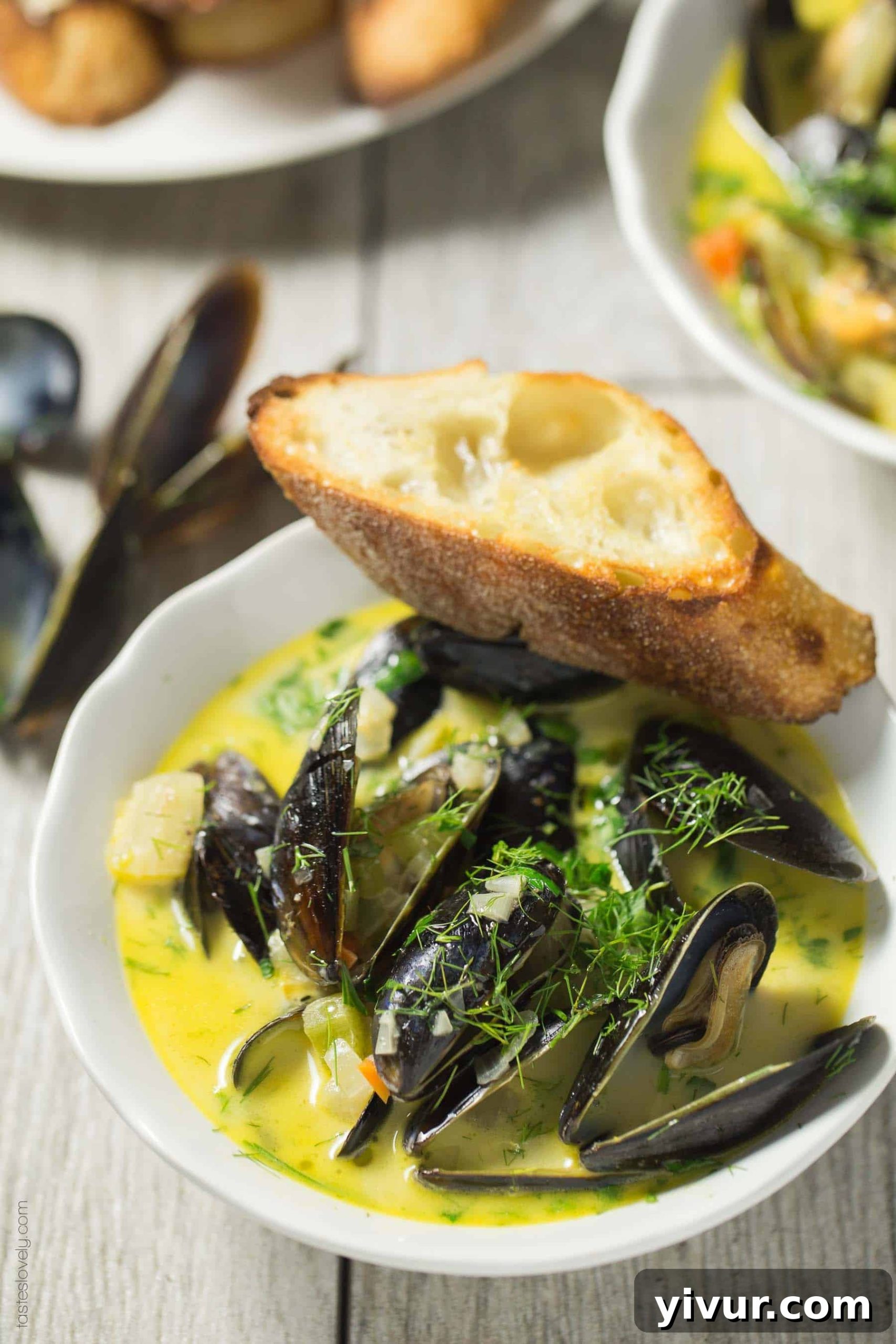 Creamy Beer Steamed Mussels - a quick and easy romantic dinner for 2