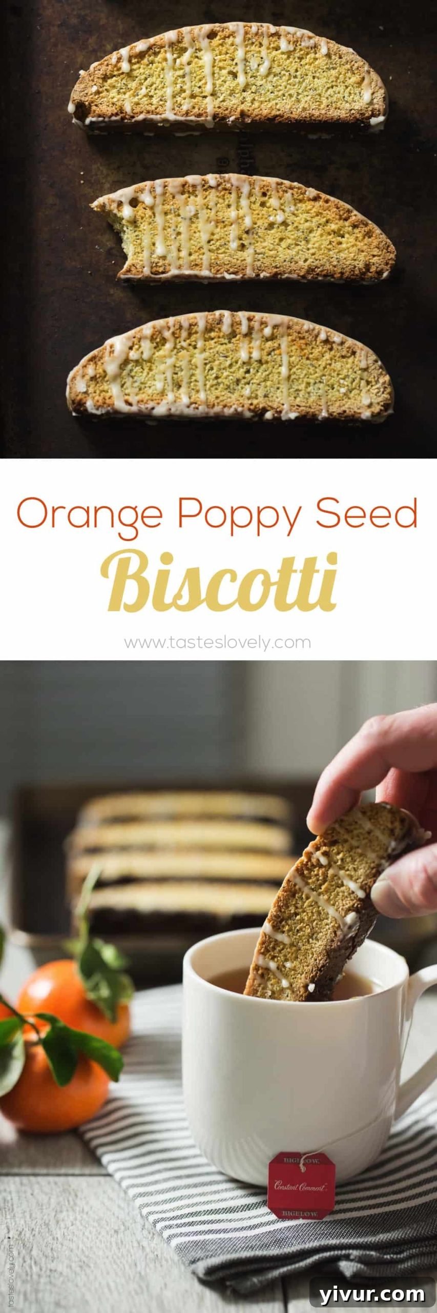 Orange Poppy Seed Biscotti - made with no butter so they're dairy free!