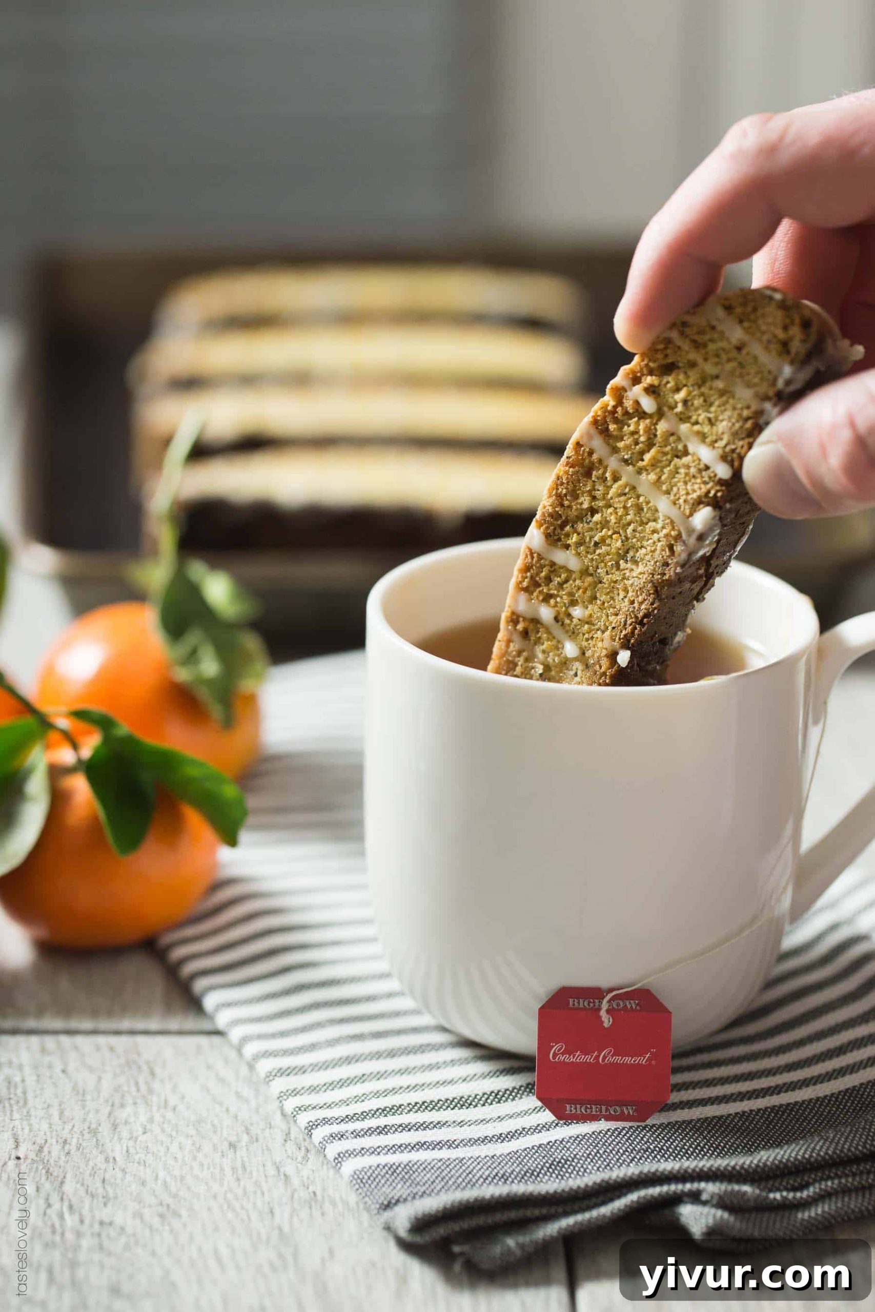 Orange Poppy Seed Biscotti - made with no butter so they're dairy free!