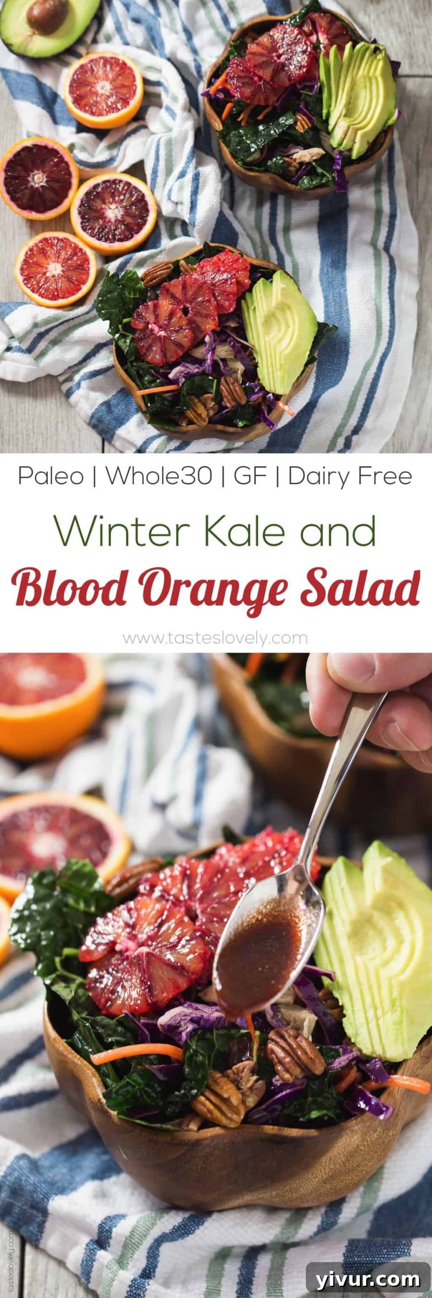 Beautifully plated Winter Kale and Blood Orange Salad, ready to serve