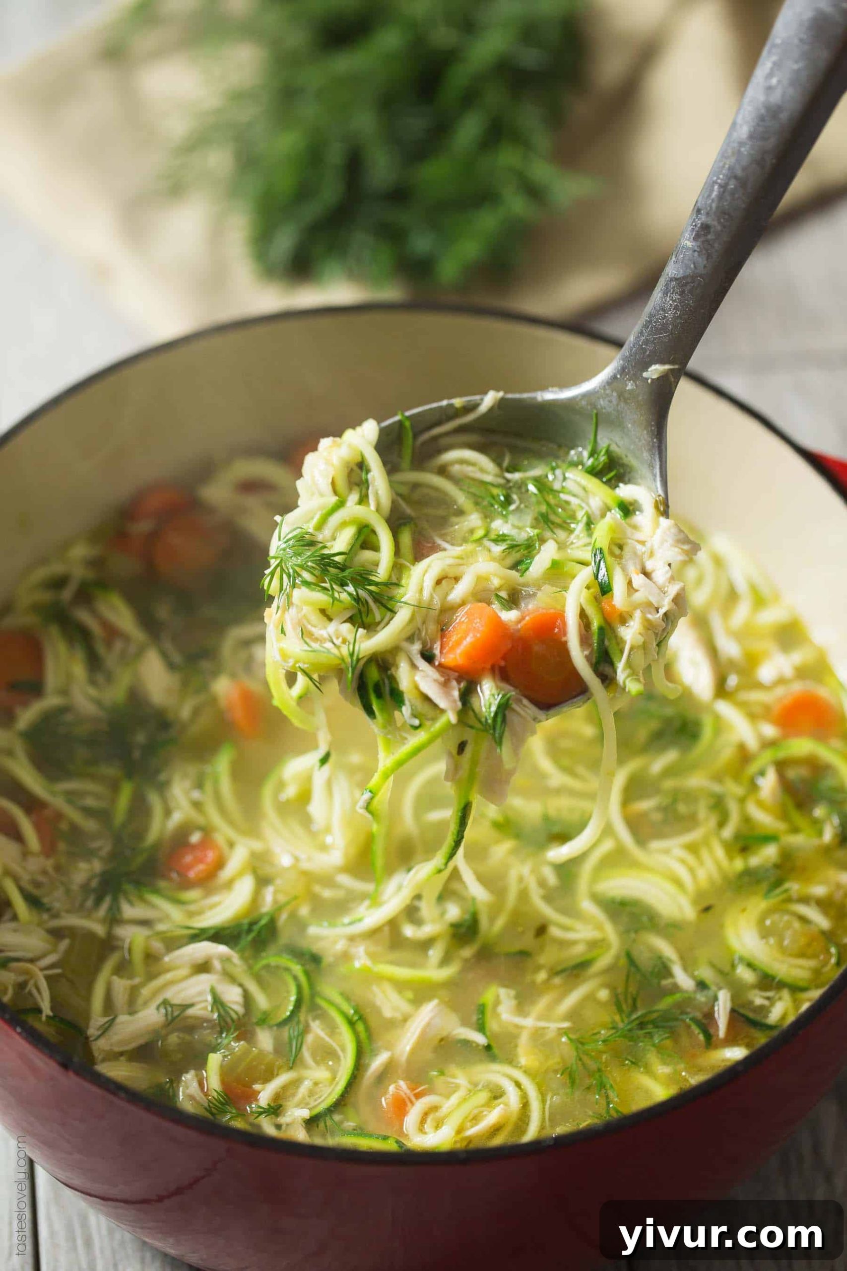 Close-up of a steaming bowl of Chicken Zoodle Soup with vibrant dill garnish