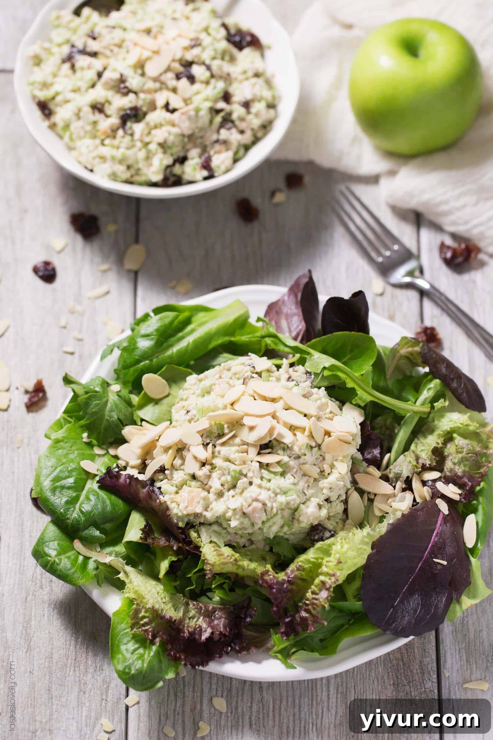 Delicious Green Apple and Cranberry Chicken Salad, a healthy and quick make-ahead lunch option, compliant with Whole30, Paleo, Gluten-Free, Dairy-Free, and Sugar-Free diets.