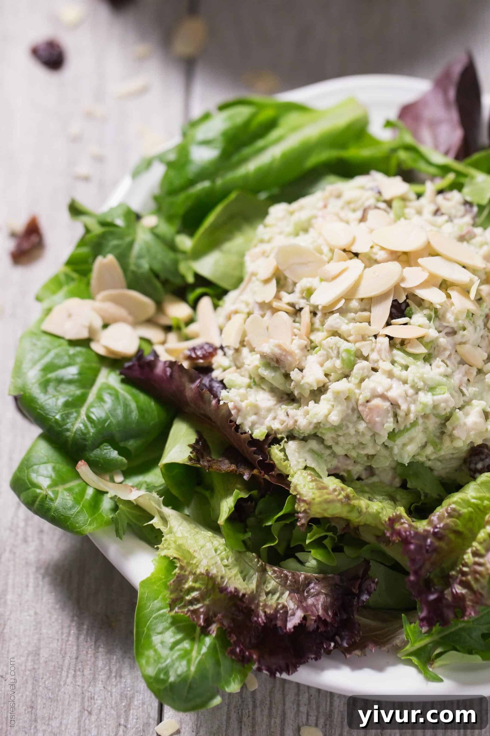 Close-up of Green Apple and Cranberry Chicken Salad on a bed of fresh greens, showcasing its vibrant ingredients and inviting texture.
