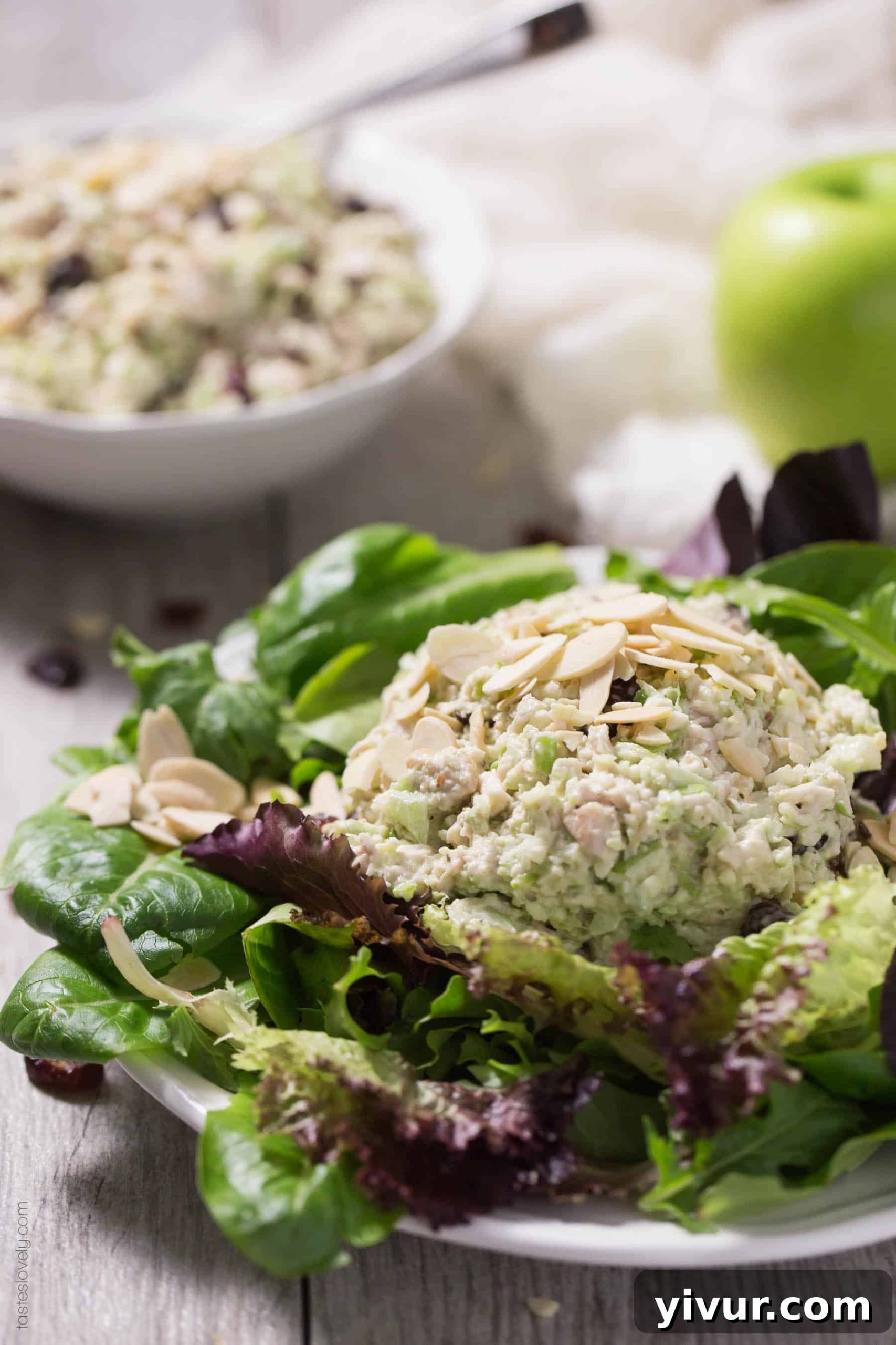 Prepared Green Apple and Cranberry Chicken Salad in a bowl with a serving spoon, ready to be enjoyed.