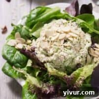 Green Apple & Cranberry Chicken Salad
