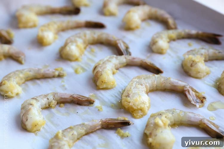 Foolproof Lemon Garlic Shrimp 5 Perfect Every Time Lemon Garlic Shrimp