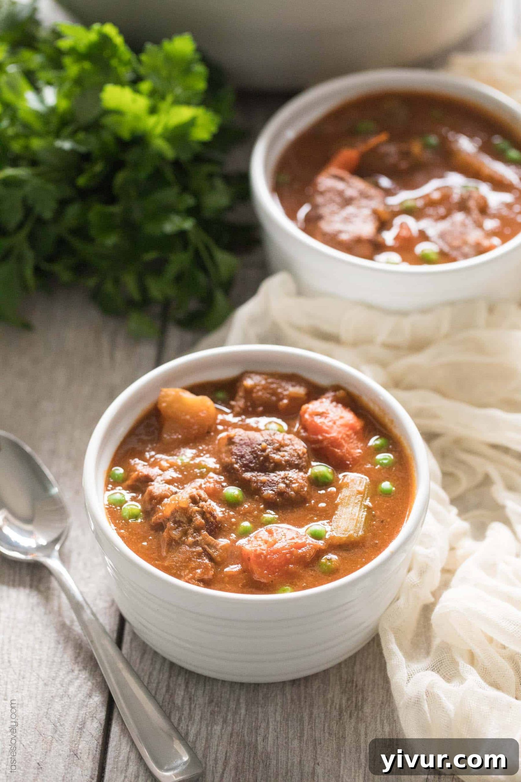 Close-up of succulent Paleo and Whole30 Beef Stew in a white bowl, showcasing tender meat and vegetables.