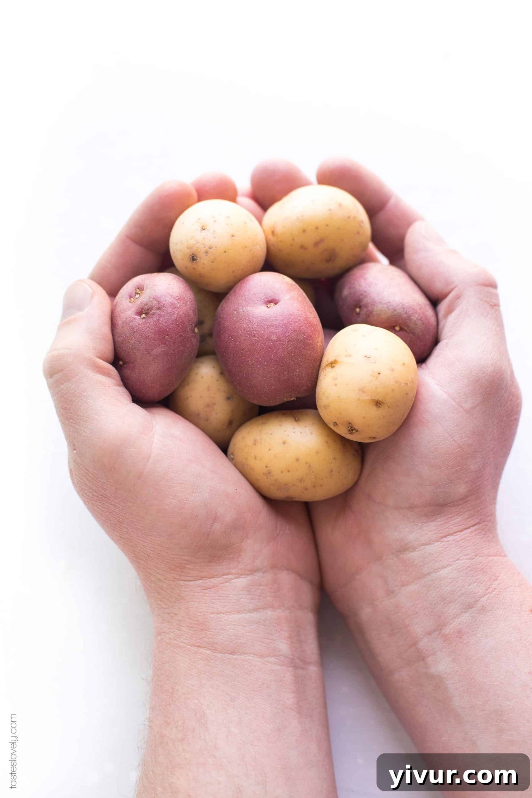 A serving of Paleo & Whole30 Crispy Smashed Potatoes, neatly arranged on a baking sheet, ready to be served. These potatoes are a wholesome choice, being gluten-free, grain-free, dairy-free, sugar-free, clean eating, and vegan-friendly.