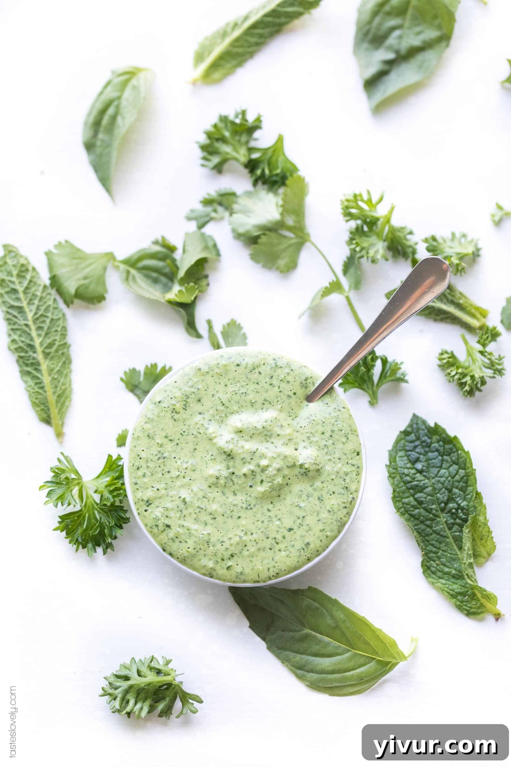 Paleo Herby Green Dressing - a light and refreshing dressing made with parsley, mint, basil and cilantro. Delicious on salads, meat and vegetables! Gluten free, dairy free, sugar free, clean eating.-1.CR2