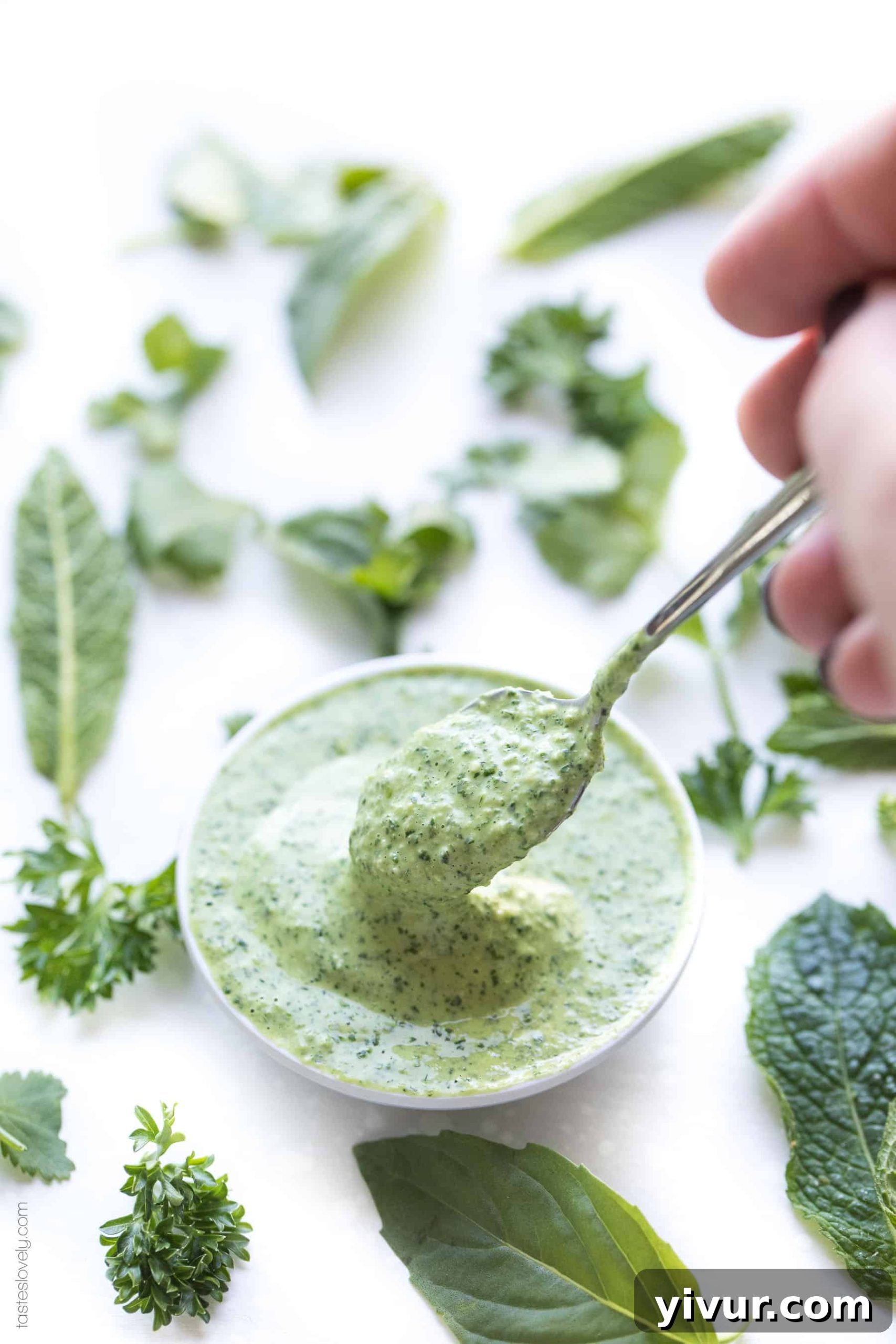Paleo Herby Green Dressing - a light and refreshing dressing made with parsley, mint, basil and cilantro. Delicious on salads, meat and vegetables! Gluten free, dairy free, sugar free, clean eating.-1.CR2