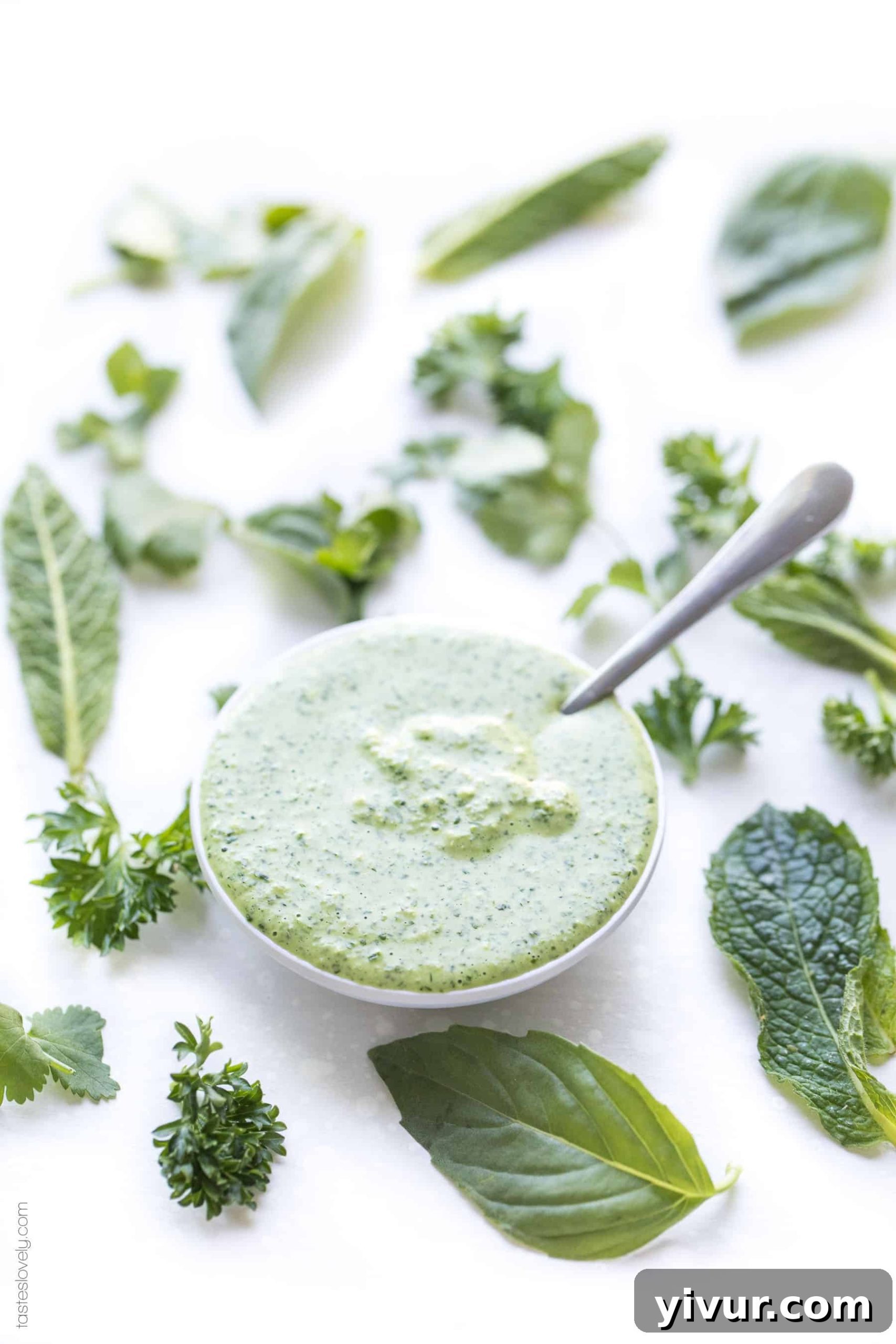 Paleo Herby Green Dressing - a light and refreshing dressing made with parsley, mint, basil and cilantro. Delicious on salads, meat and vegetables! Gluten free, dairy free, sugar free, clean eating.-1.CR2
