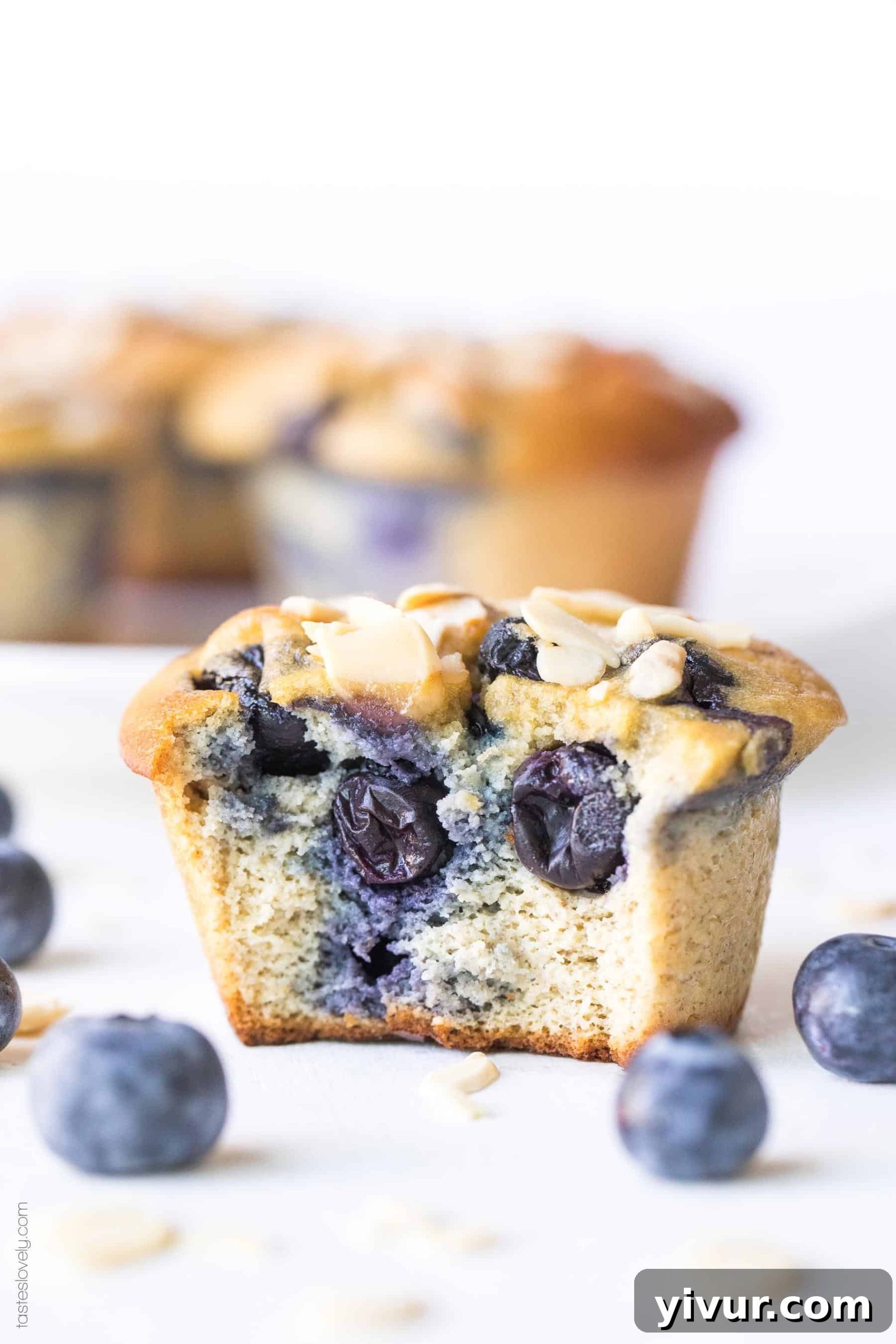 Delicious Paleo Blueberry Muffins, made with almond flour and naturally sweetened, showcasing their golden-brown tops and juicy blueberries.