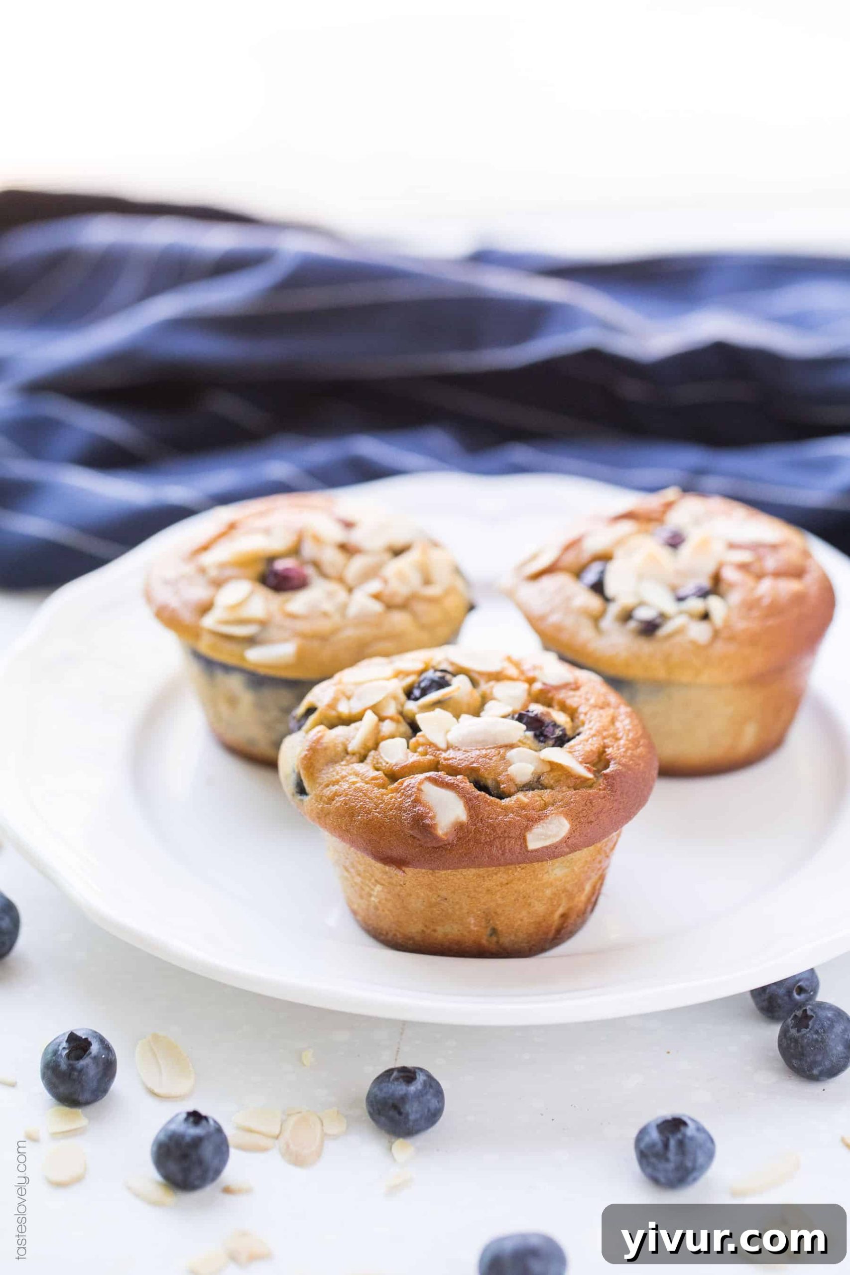 Close-up view of freshly baked Paleo Blueberry Muffins, highlighting their texture and the distribution of blueberries.