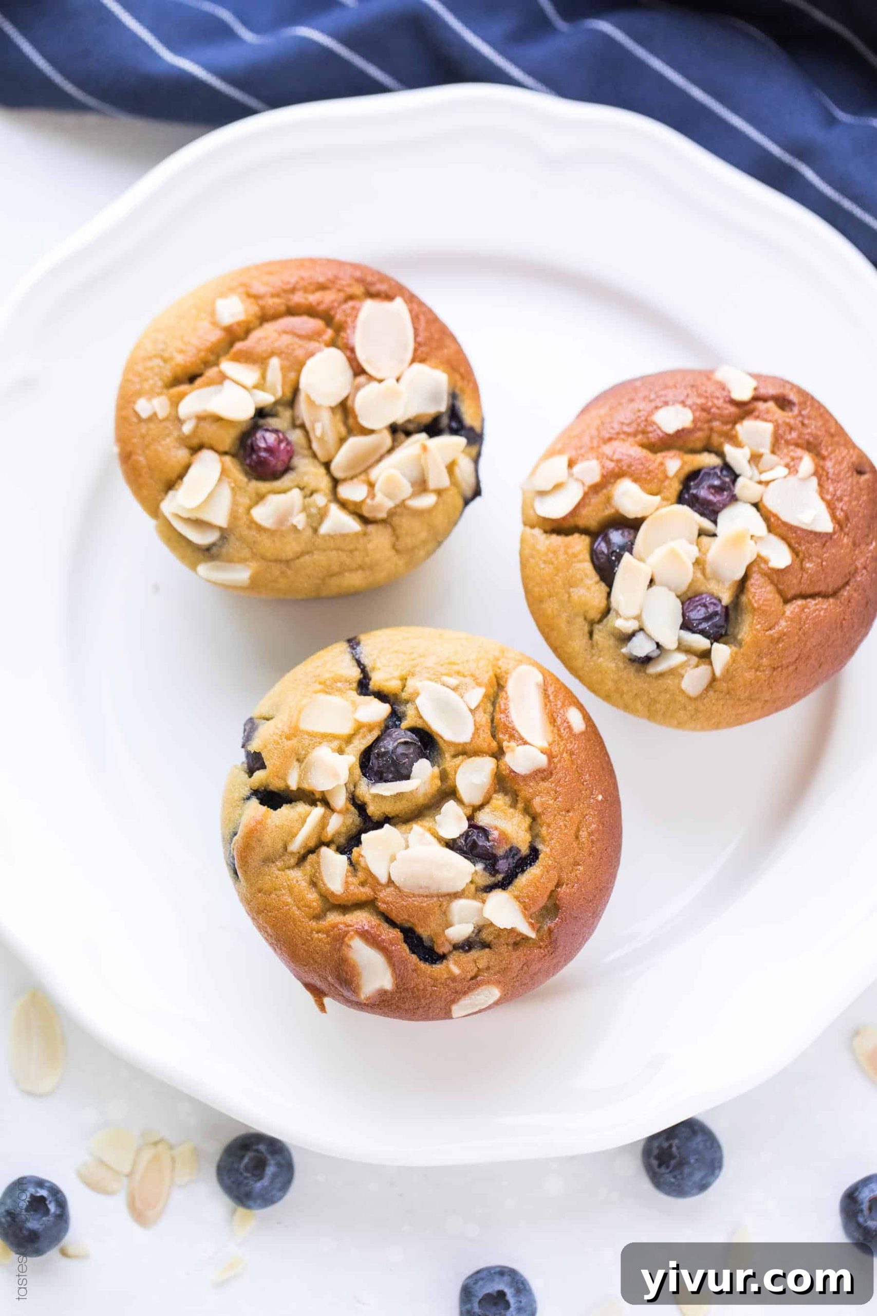 Perfectly baked Paleo Blueberry Muffins arranged on a cooling rack, ready to be enjoyed.