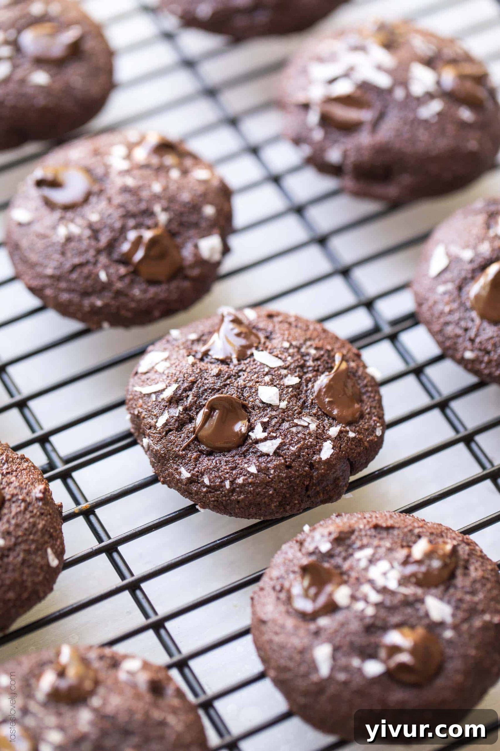 Keto Fudgy Sea Salt Chocolate Cookies 5 A single Keto Salted Chocolate Brownie Cookie held up, showing its soft, airy inside and tempting dark chocolate chips.