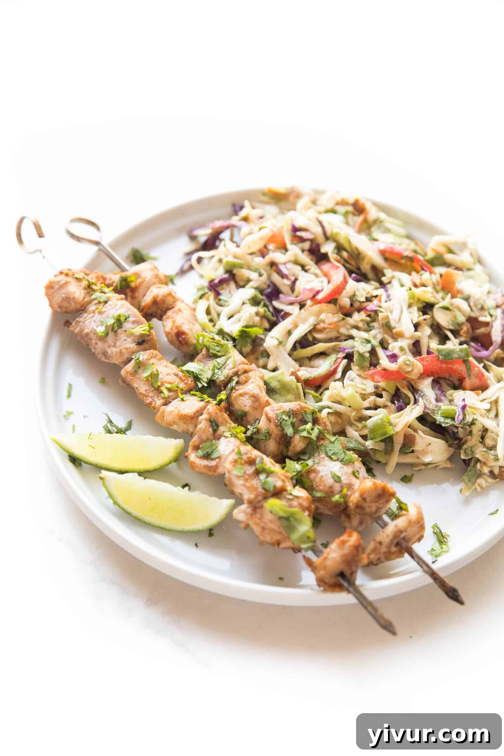 Flavorful Whole30 Keto Thai Chicken Satay Skewers with Crisp Coleslaw 3 Closeup of marinated chicken satay skewers ready for grilling
