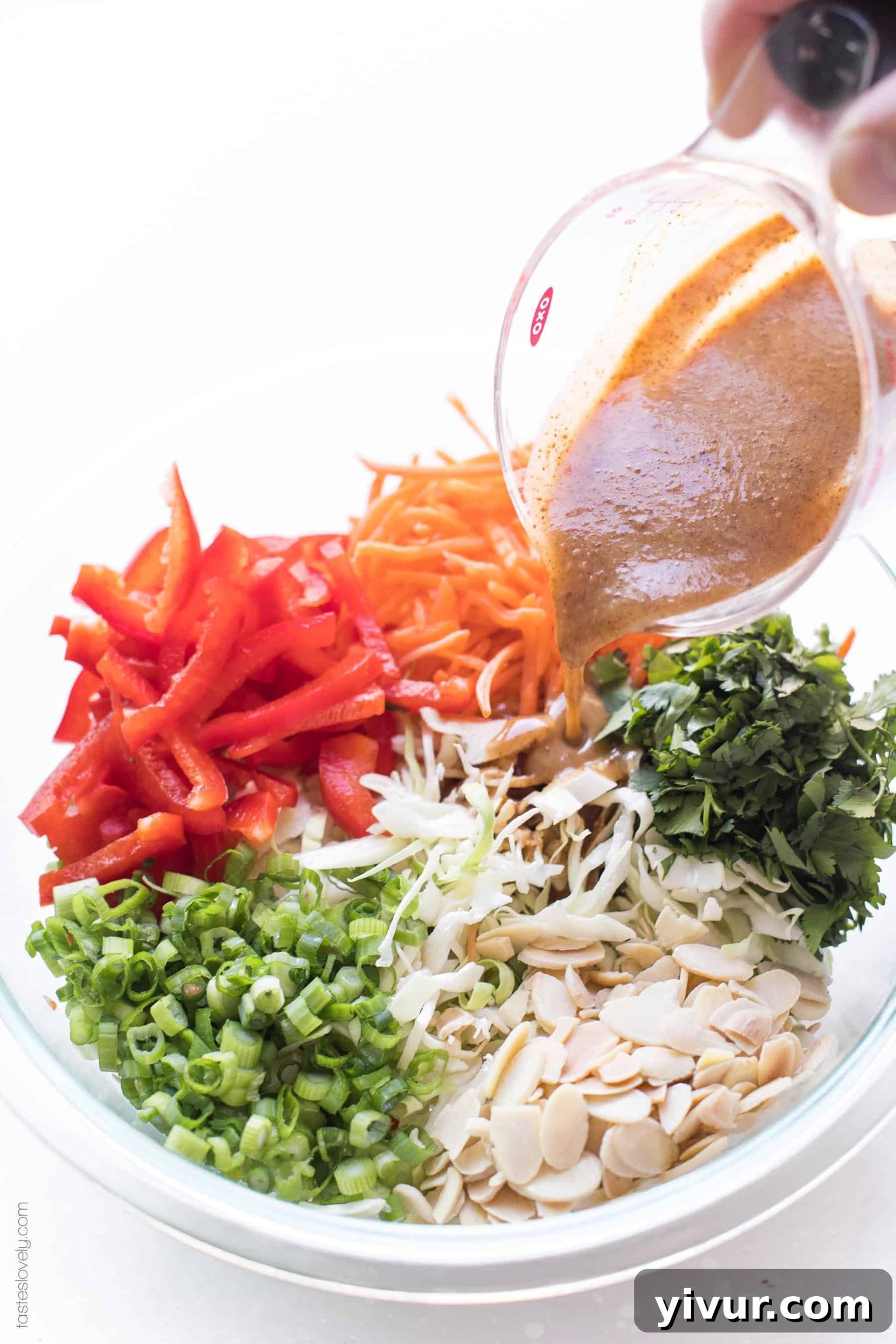 Unmixed coleslaw ingredients in a large bowl, showcasing cabbage, carrots, bell pepper, and nuts