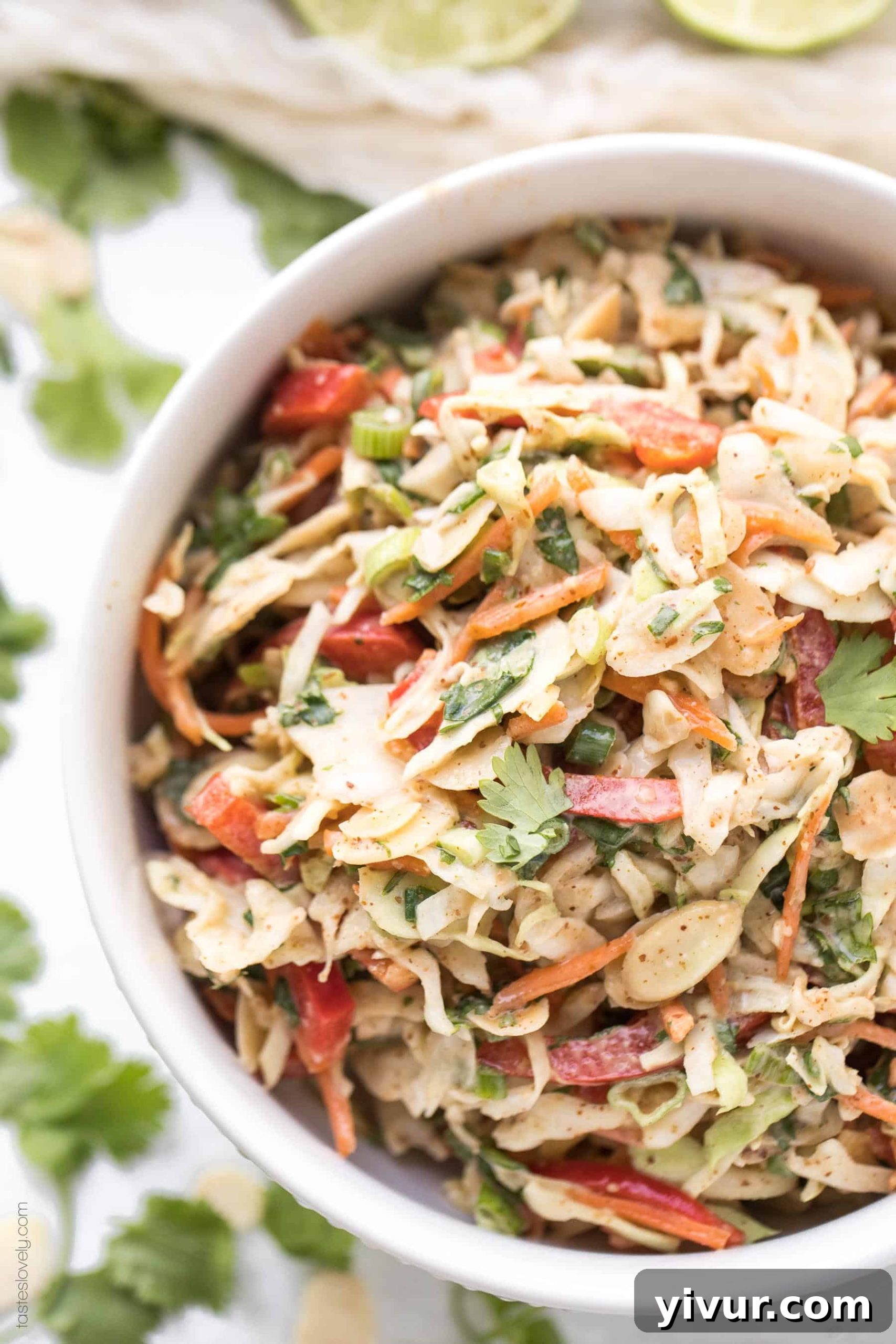 A bowl of Thai Almond Butter Coleslaw, perfectly dressed and ready to be served
