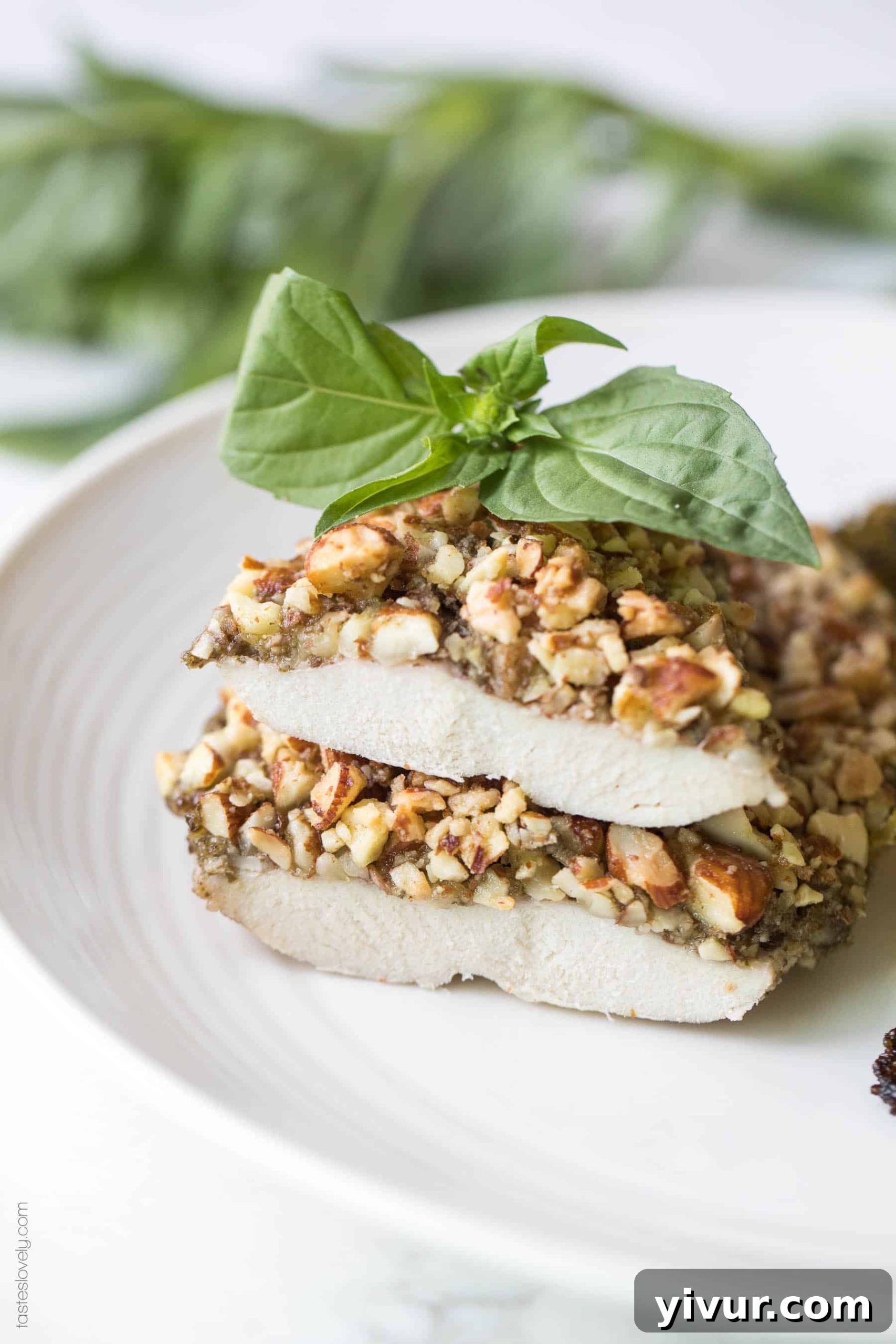 Almond-Crusted Pesto Chicken (Paleo & Whole30) 3 Close-up of freshly baked Paleo + Whole30 Almond Crusted Pesto Chicken, showcasing the crispy almond crust and vibrant pesto layer.