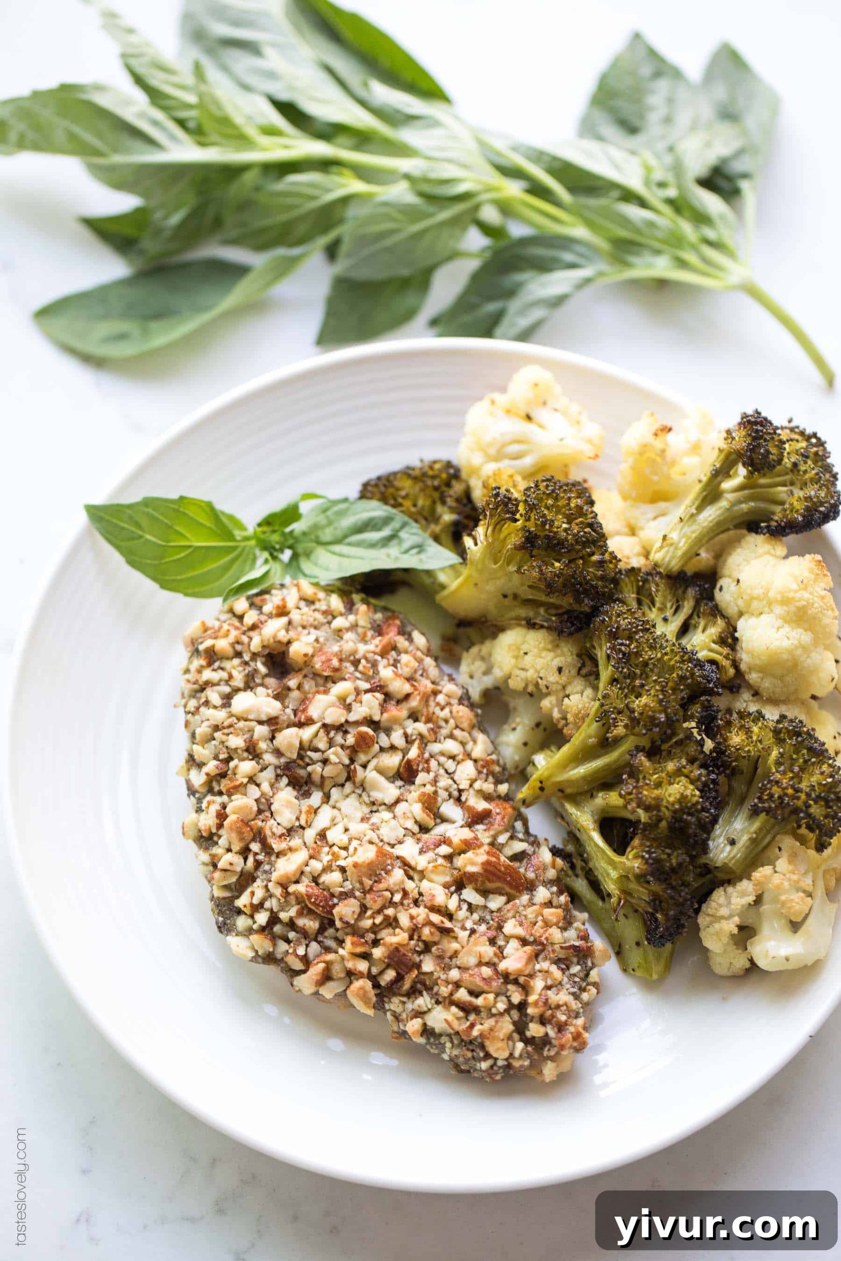 Almond-Crusted Pesto Chicken (Paleo & Whole30) 6 Cooked Paleo + Whole30 Almond Crusted Pesto Chicken breasts arranged on a platter with fresh basil for garnish.