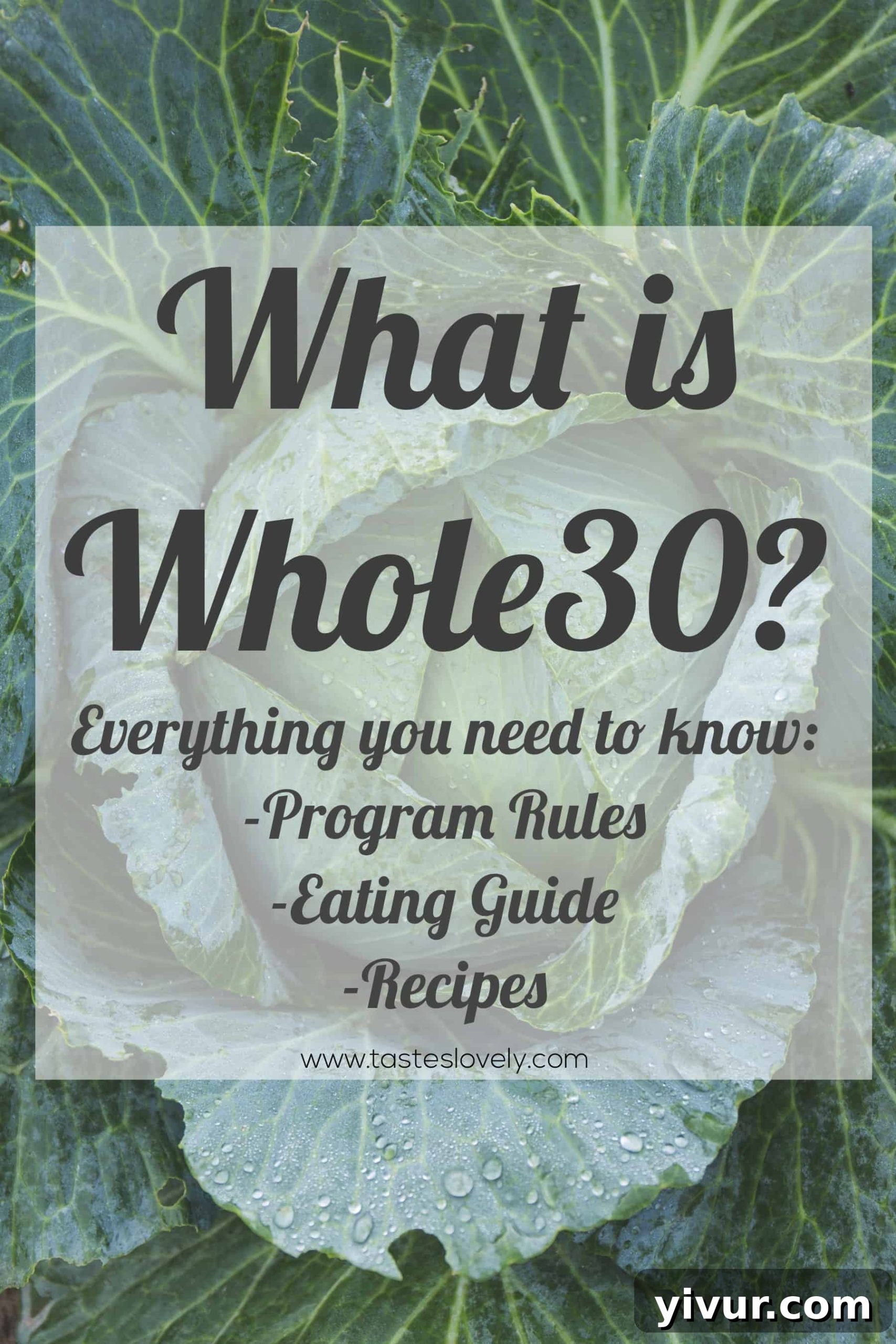 Whole30 Unpacked: Your Essential Program Handbook 2 Everything you need to know about the Whole30 diet, including a printable food shopping guide and recipes to get you through your Whole30! #whole30 #whole30diet