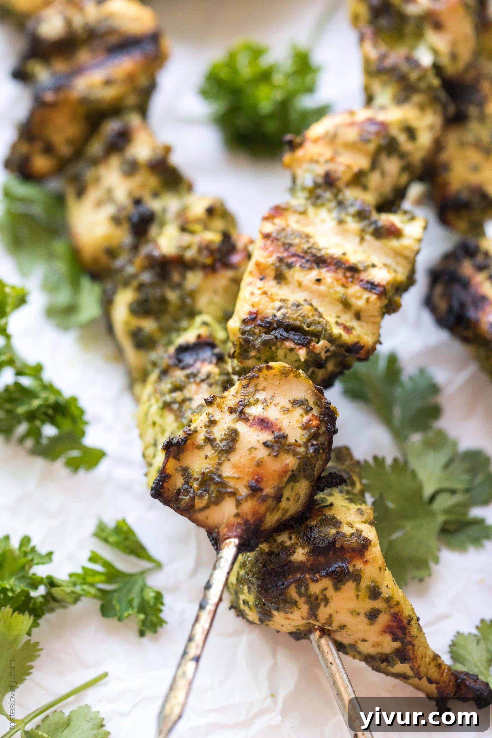 Hand holding a Paleo + Whole30 Chimichurri Chicken Skewer, showcasing the perfectly grilled chicken against a rustic background.