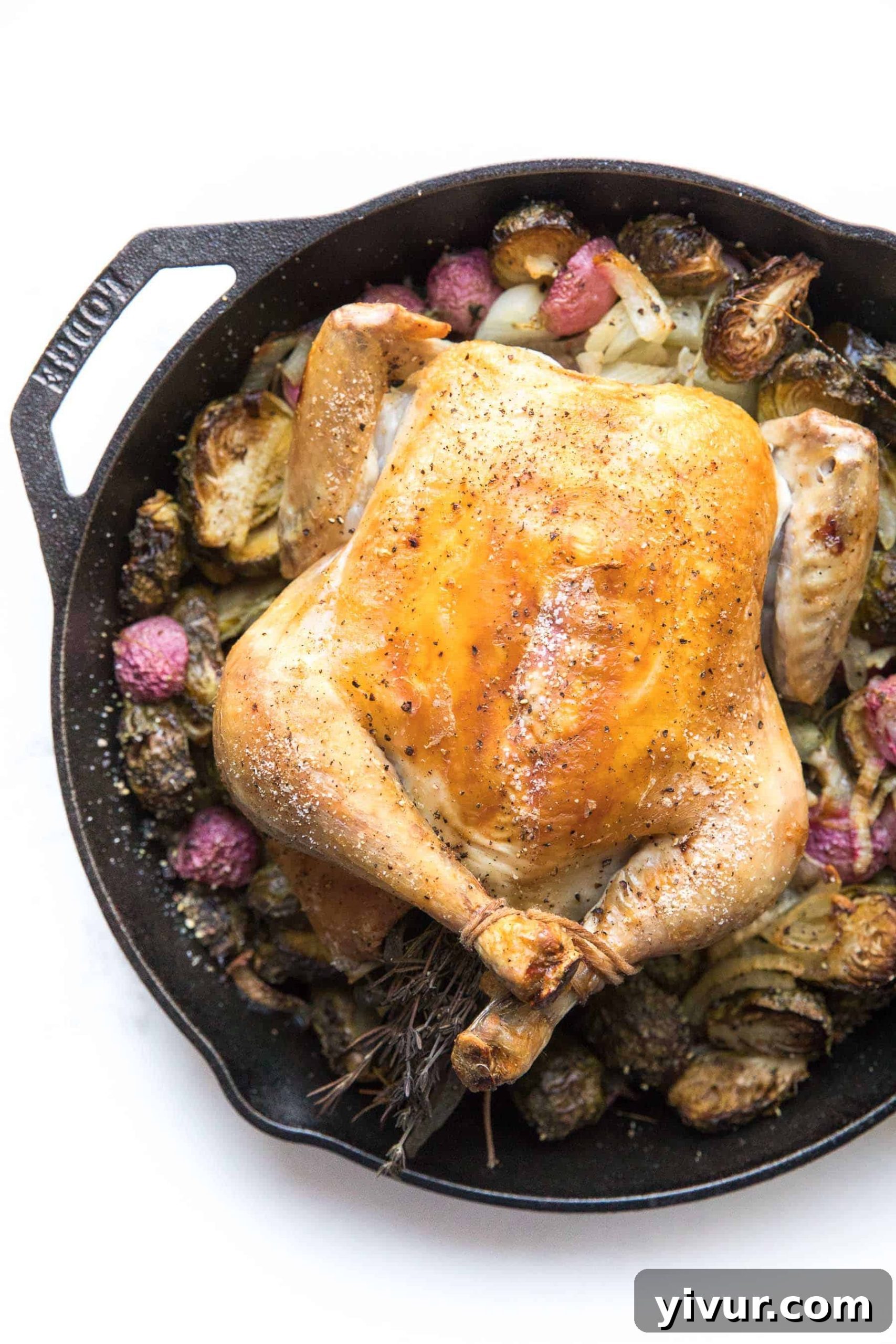 Roast chicken in a cast iron skillet with root vegetables