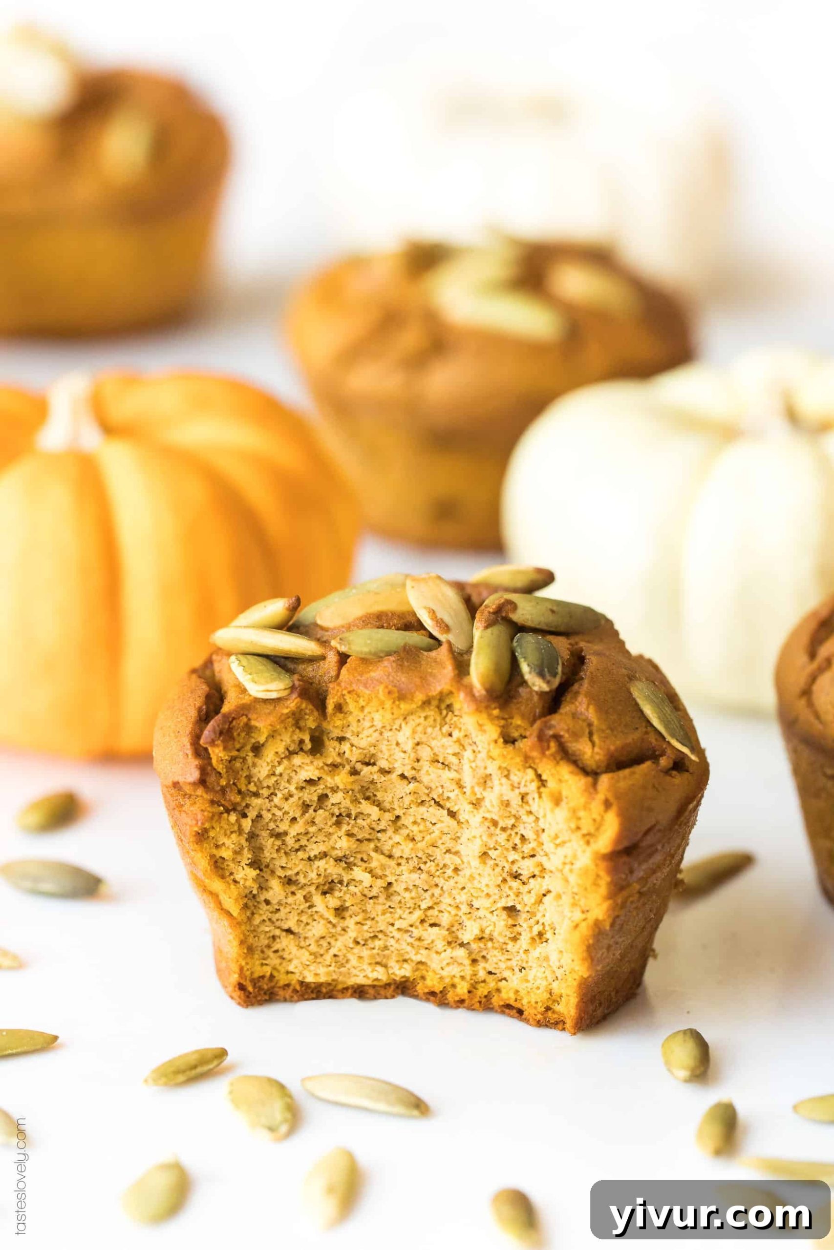 A close-up of a perfectly baked almond flour pumpkin muffin with a bite taken out, surrounded by miniature decorative pumpkins, highlighting its deliciousness and the essence of fall baking.