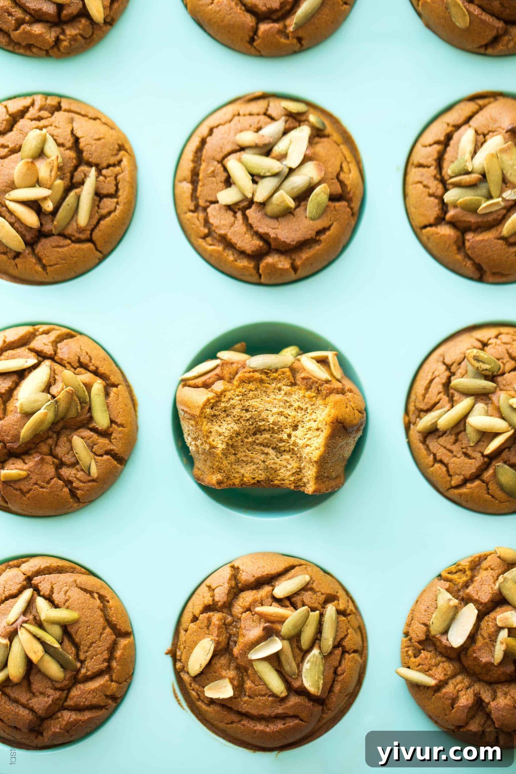A tray of freshly baked paleo pumpkin muffins, with one muffin playfully flipped up and a bite taken out, emphasizing its irresistible taste and perfect texture.
