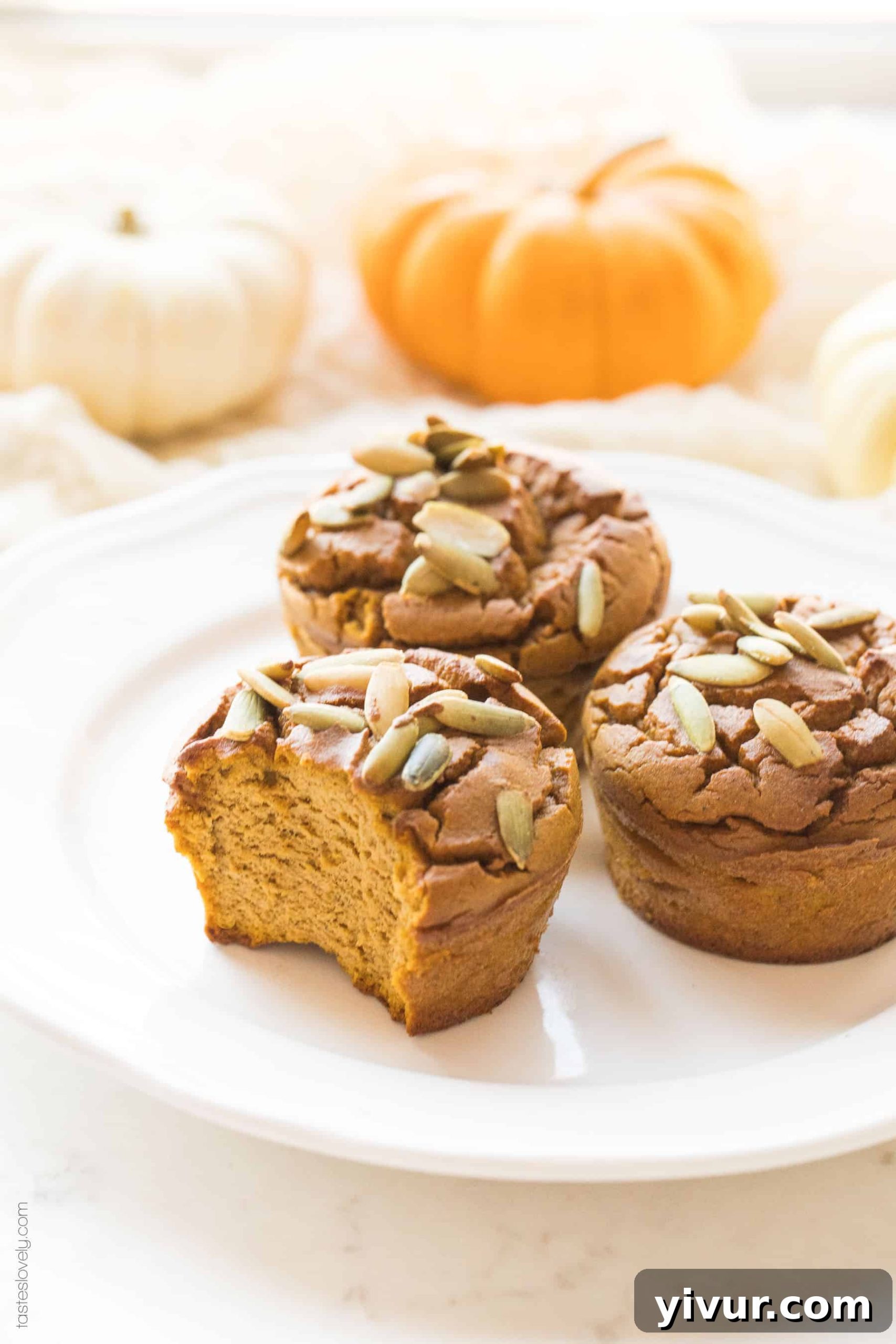 A plate featuring several paleo pumpkin muffins, one with a bite taken out, highlighting their inviting texture and deliciousness, ready to be enjoyed.