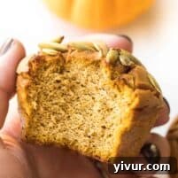 Easy Keto Pumpkin Muffins
