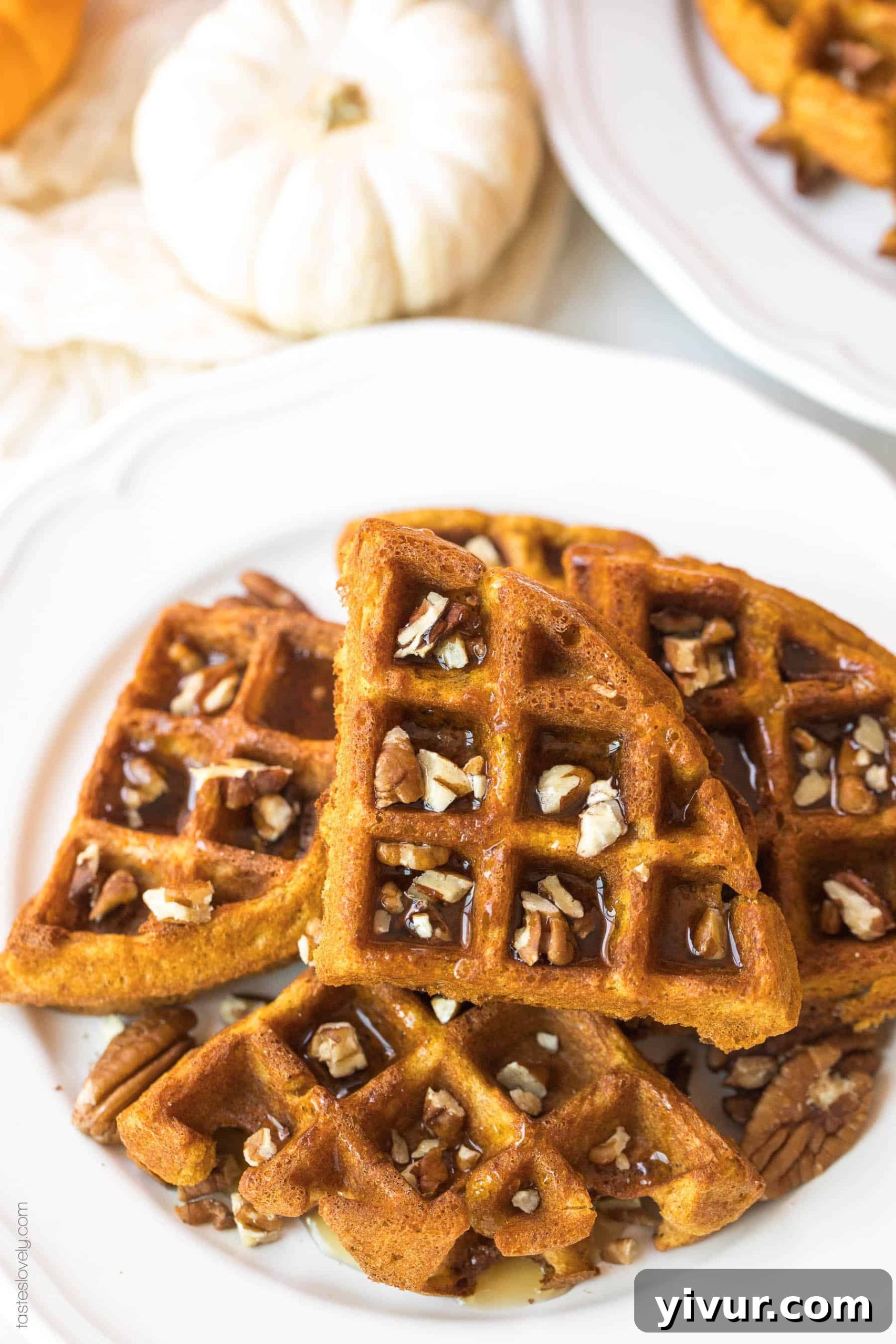 Perfectly golden and fluffy paleo pumpkin waffles on a white plate