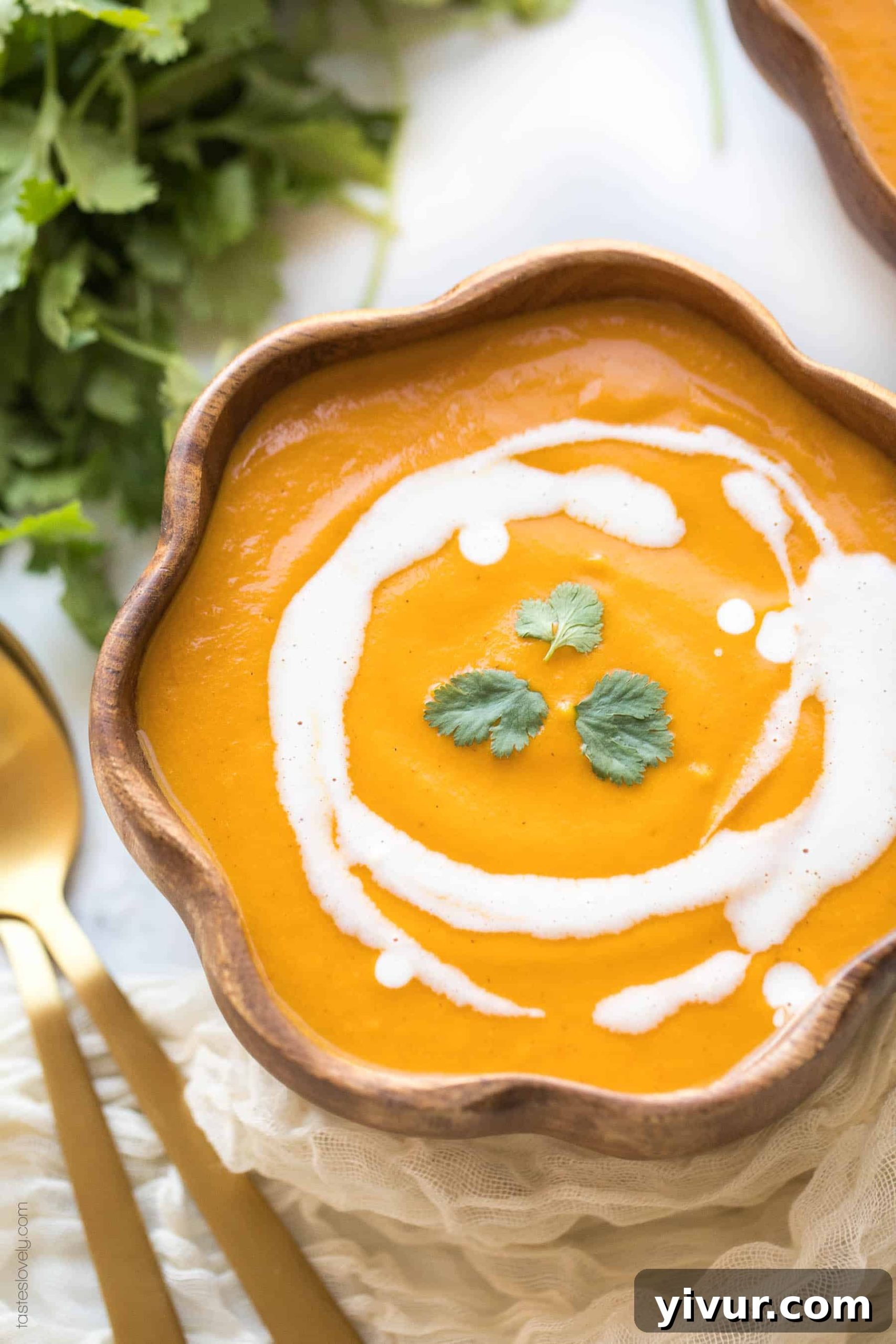 A single bowl of Thai Curry Roasted Butternut Squash Soup, garnished with fresh cilantro and a swirl of coconut cream.