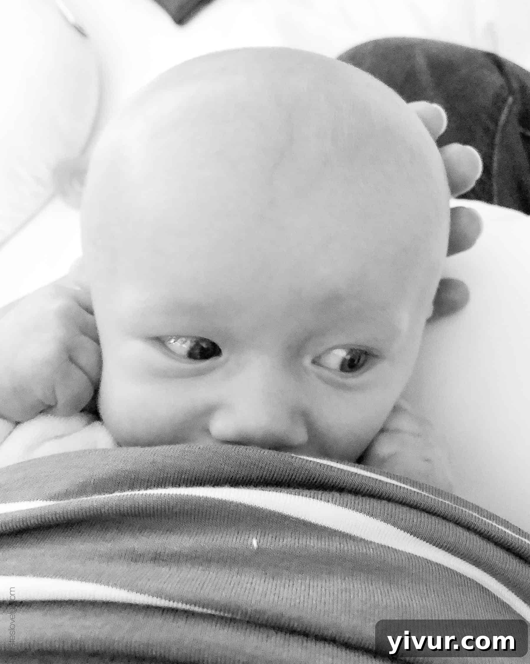 A cup of Mother's Milk Tea, symbolizing herbal support for lactation.