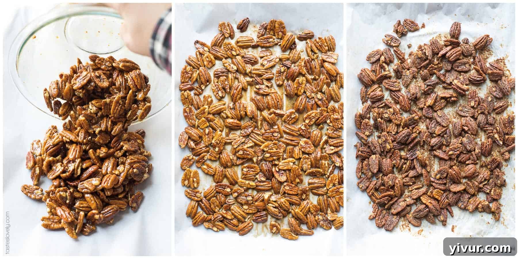 A close-up of candied pecans spread in a single layer on a parchment-lined baking sheet, ready for roasting.