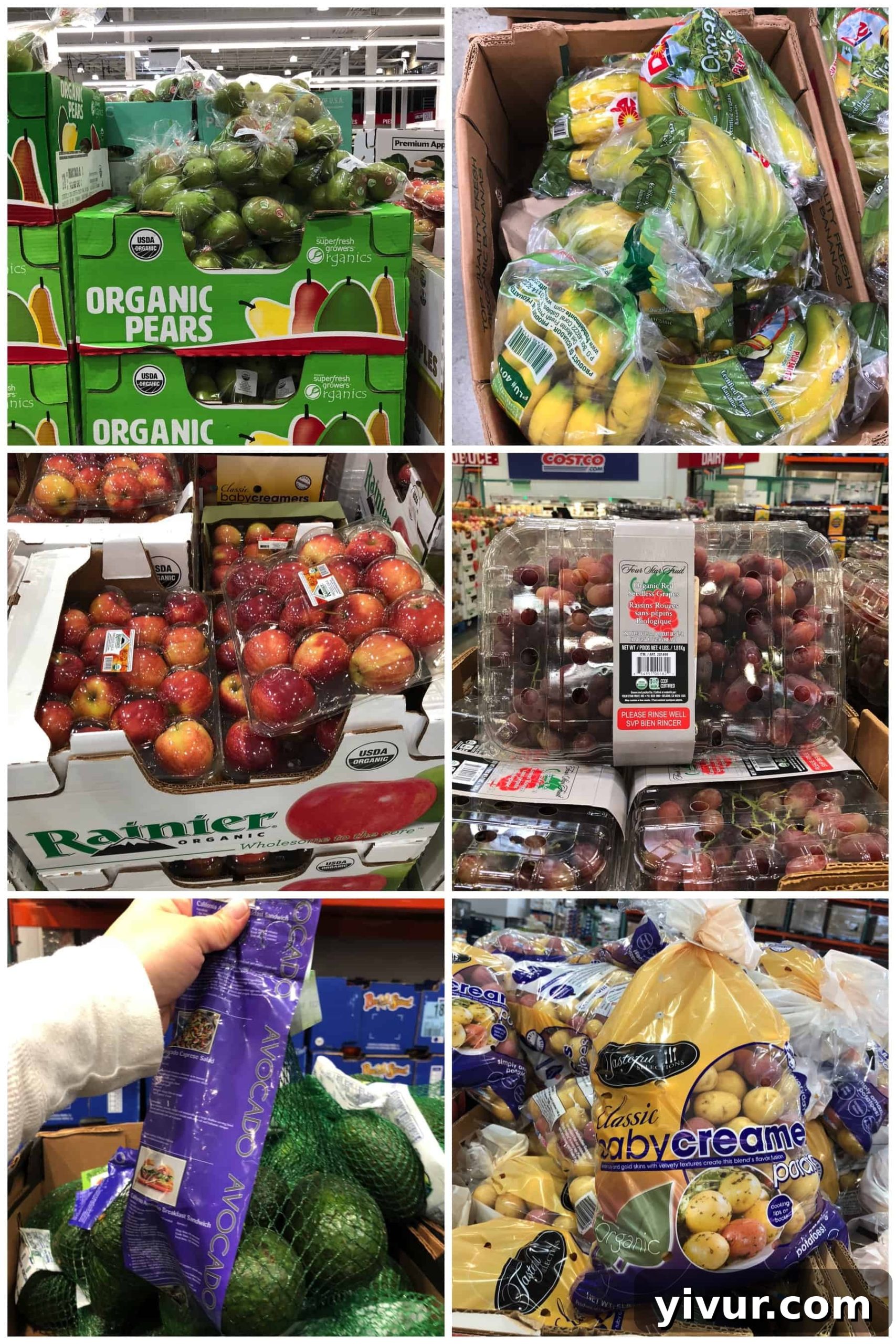 Photos showcasing a variety of organic produce available at Costco, including pears, bananas, apples, grapes, avocados, and baby potatoes.