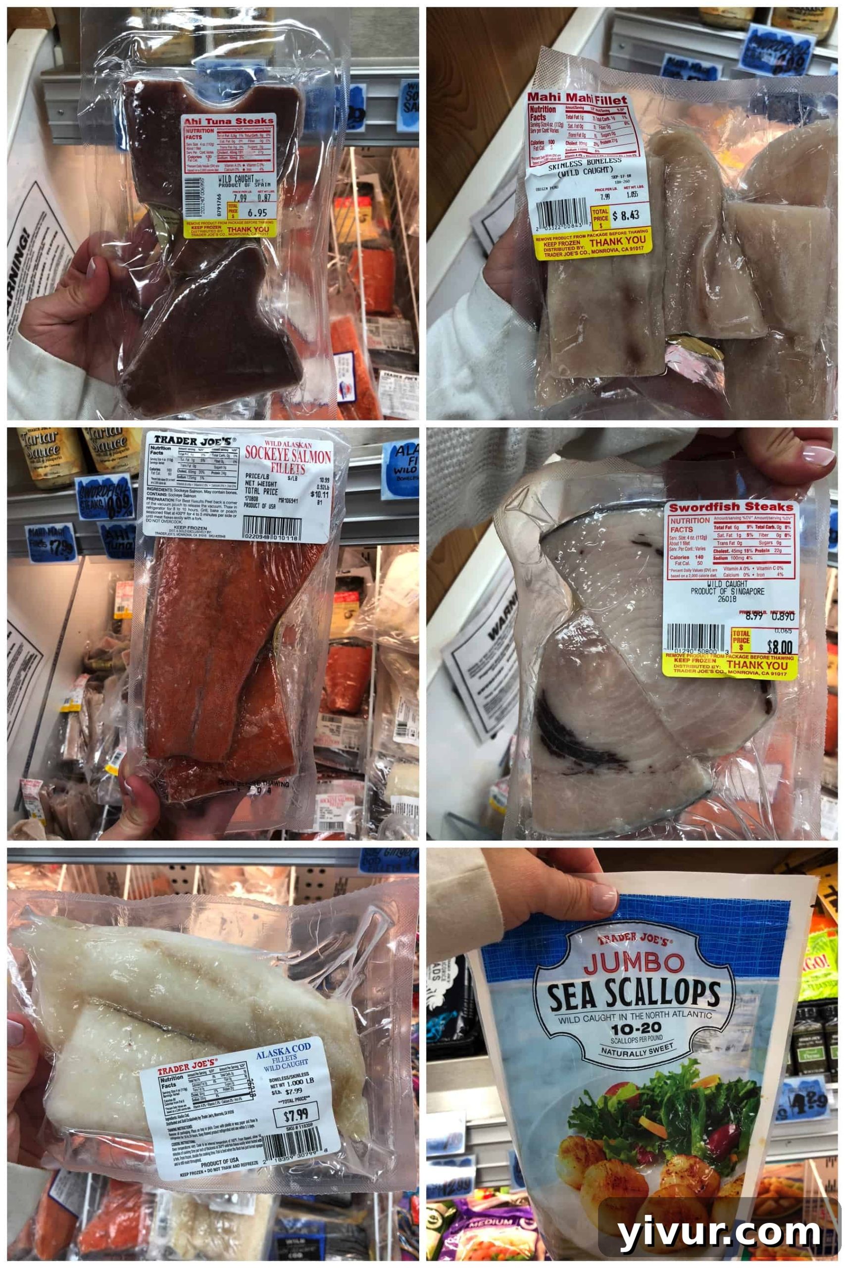 Frozen seafood at Trader Joe's, showcasing various fish fillets and scallops