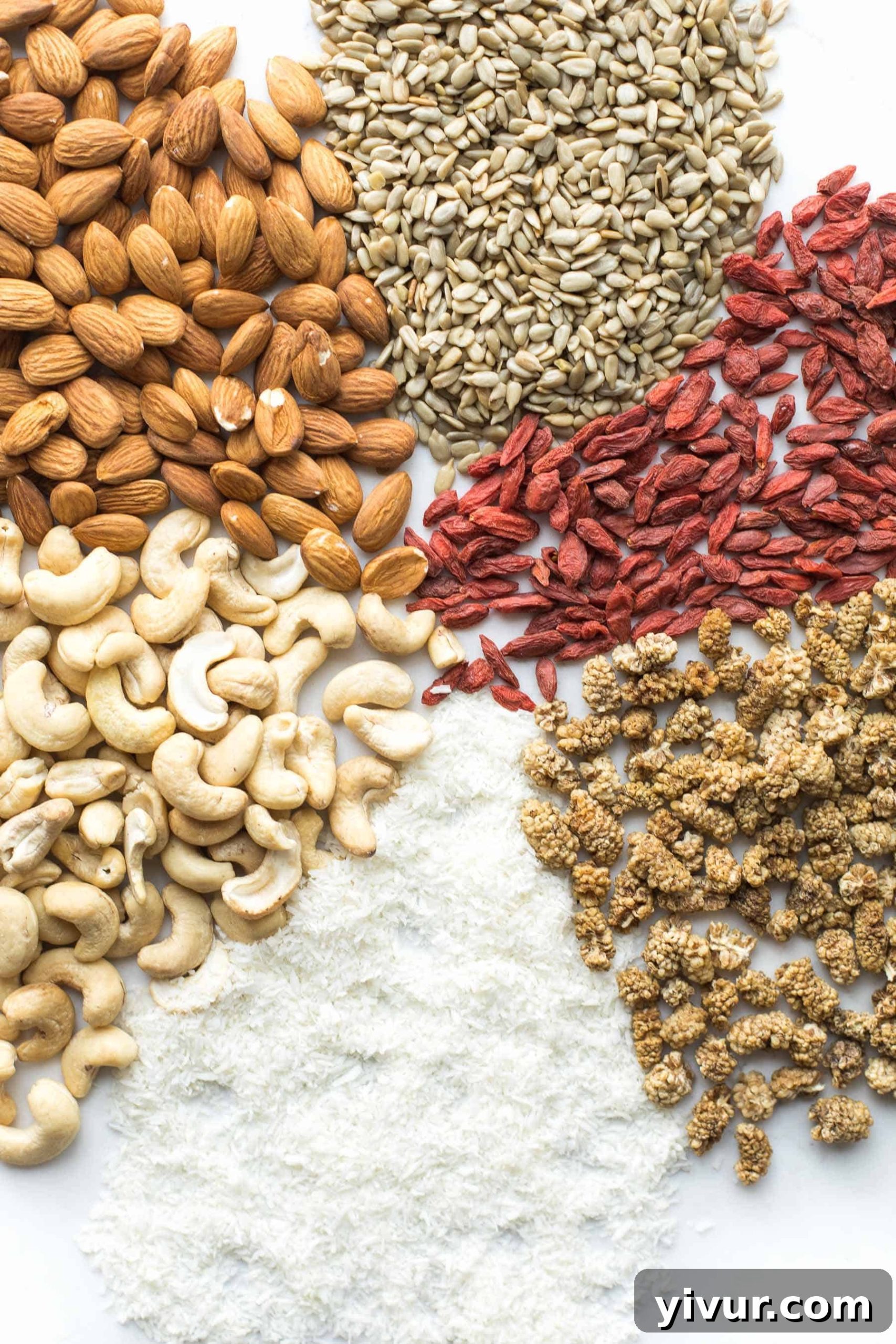 A close-up shot of the superfood snack mix, showing distinct sections of mixed berries and nuts, ready for consumption.