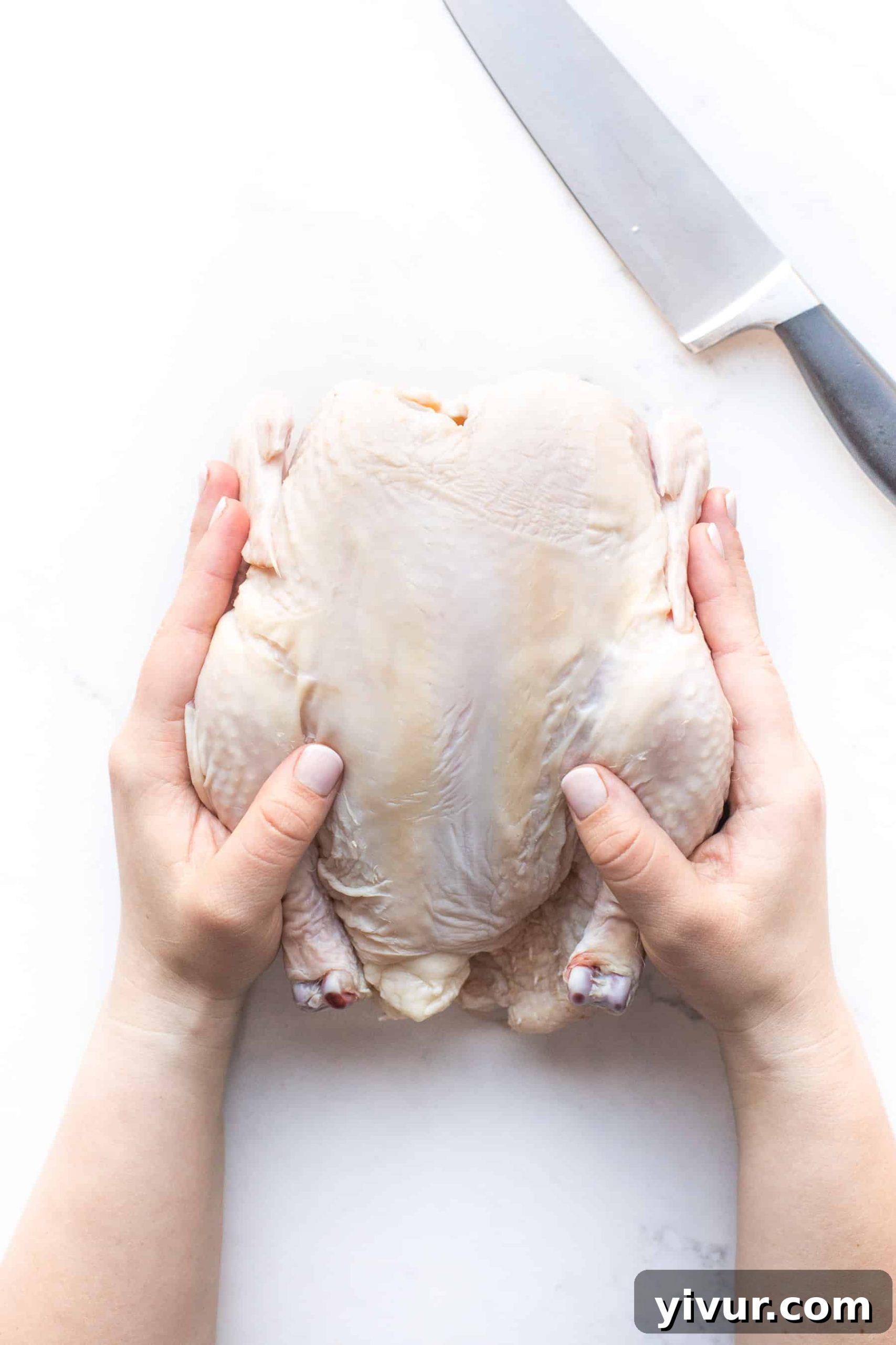 2 hands holding a whole chicken, ready for carving
