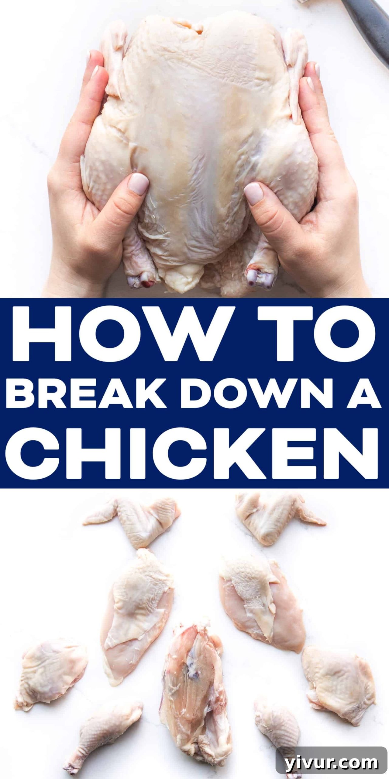 A clean kitchen after butchering a chicken