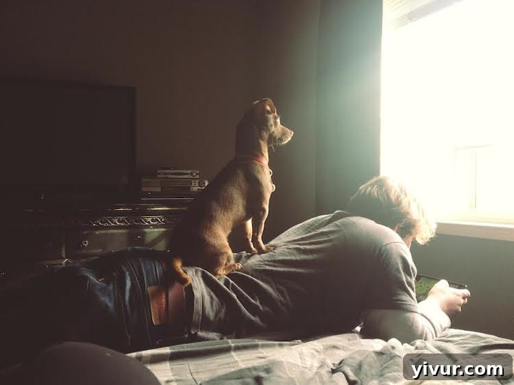 Max standing on Shawn